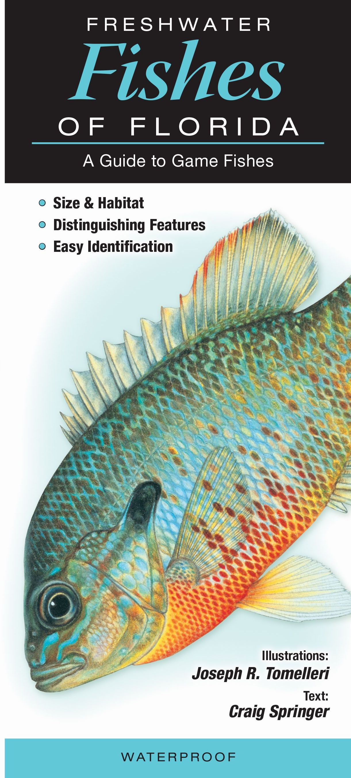 Freshwater Fishes Of Florida Quick Reference Publishing Wholesale