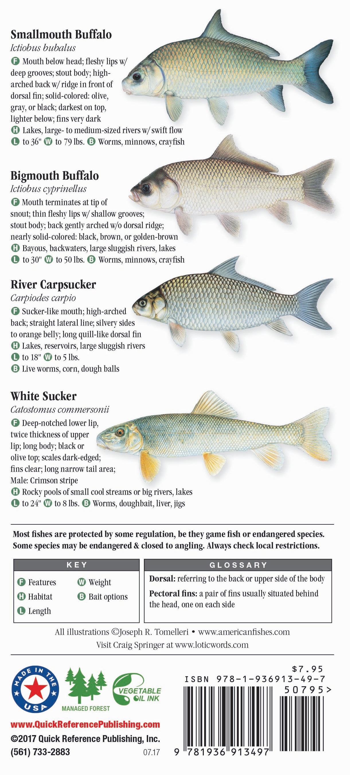 Freshwater Fishes Of The Northern Rocky Mountains Quick Reference