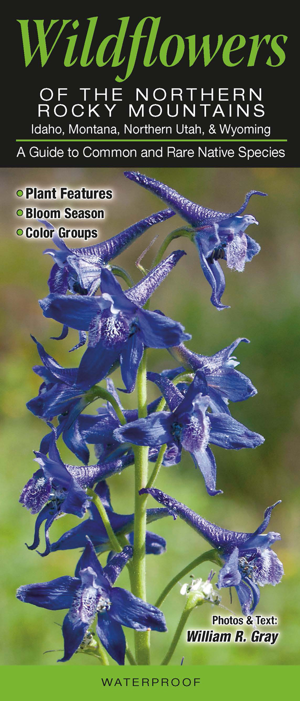 Wildflowers of the Northern Rocky Mountains: Idaho, Montana and Northern Utah Quick Reference Guides