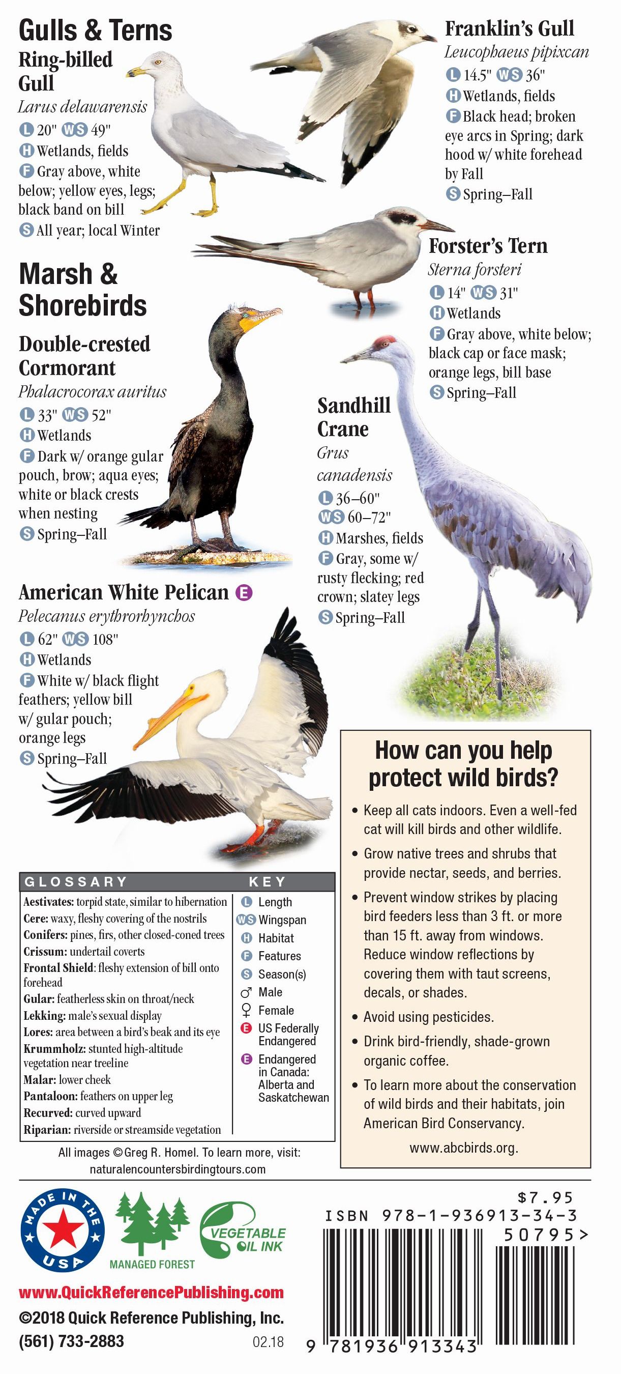 Birds of Yellowstone and Grand Teton National Parks – Quick Reference ...