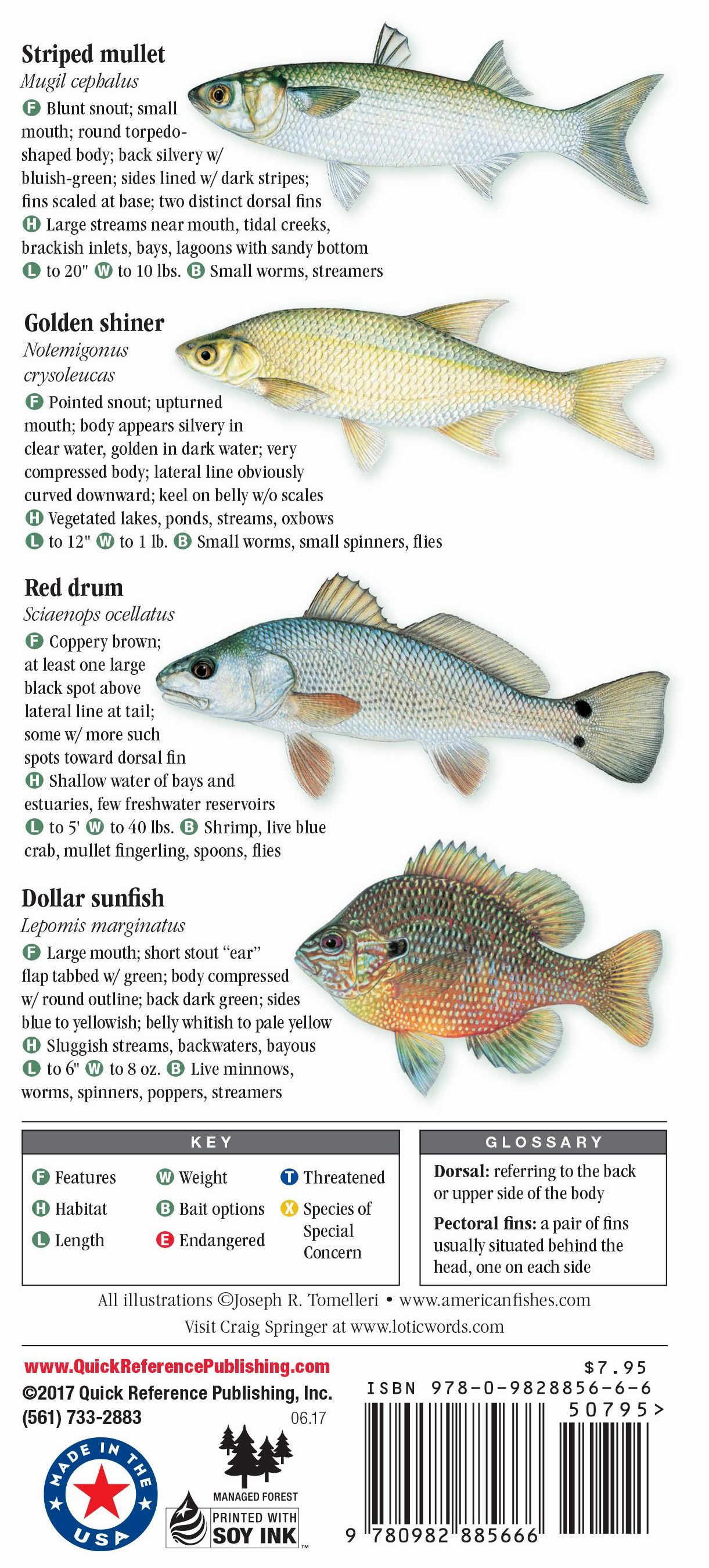 Freshwater Fishes Of Florida – Quick Reference Publishing Wholesale