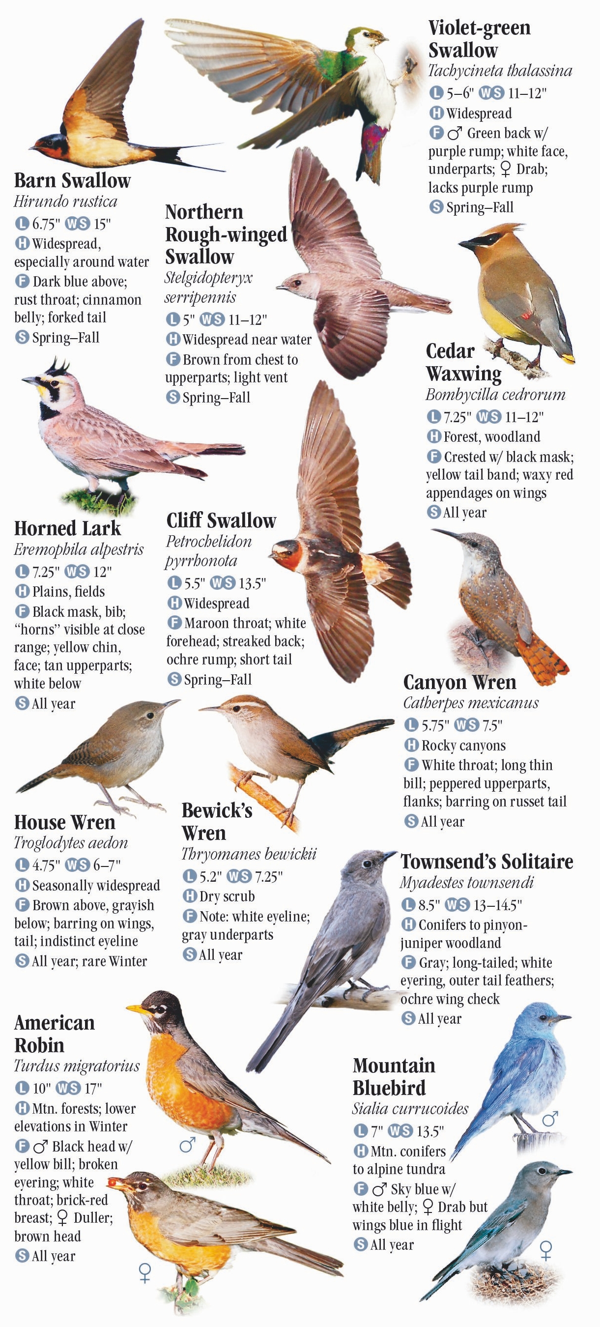 Birds of Utah – Quick Reference Publishing