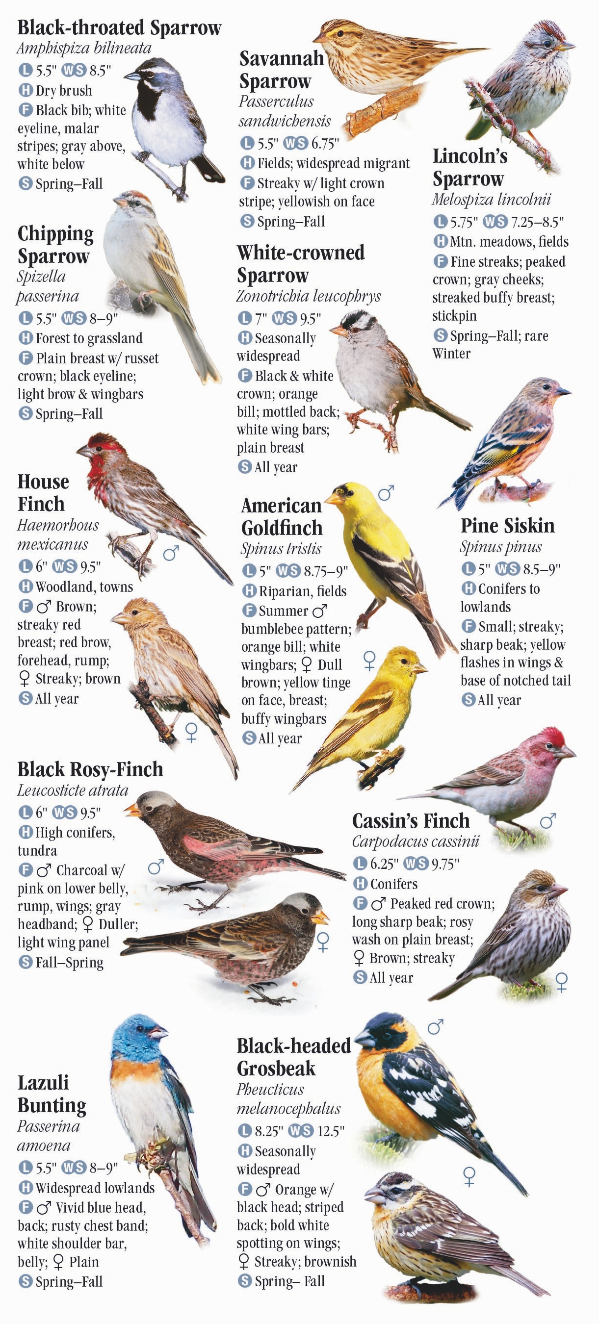 Birds of Utah – Quick Reference Publishing