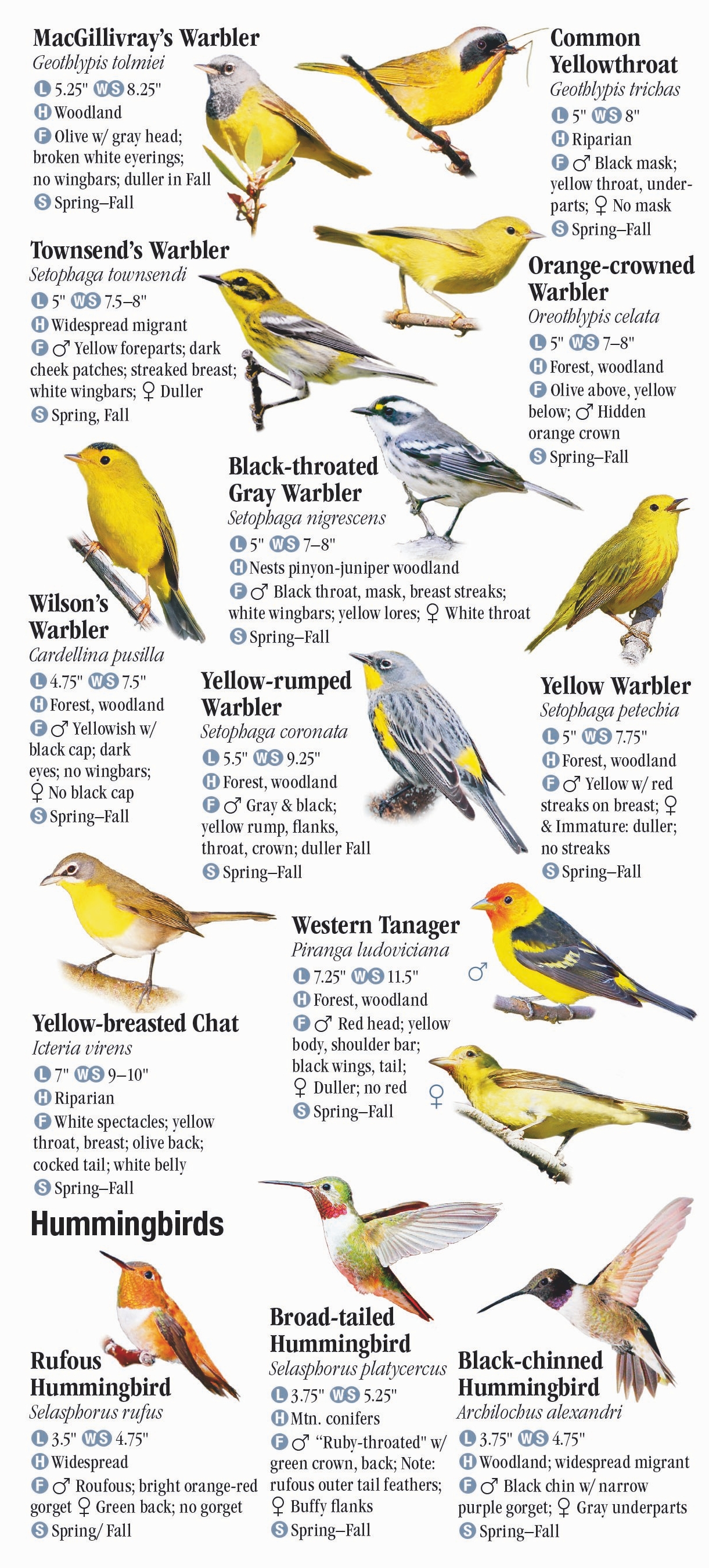 birds-of-utah-quick-reference-publishing