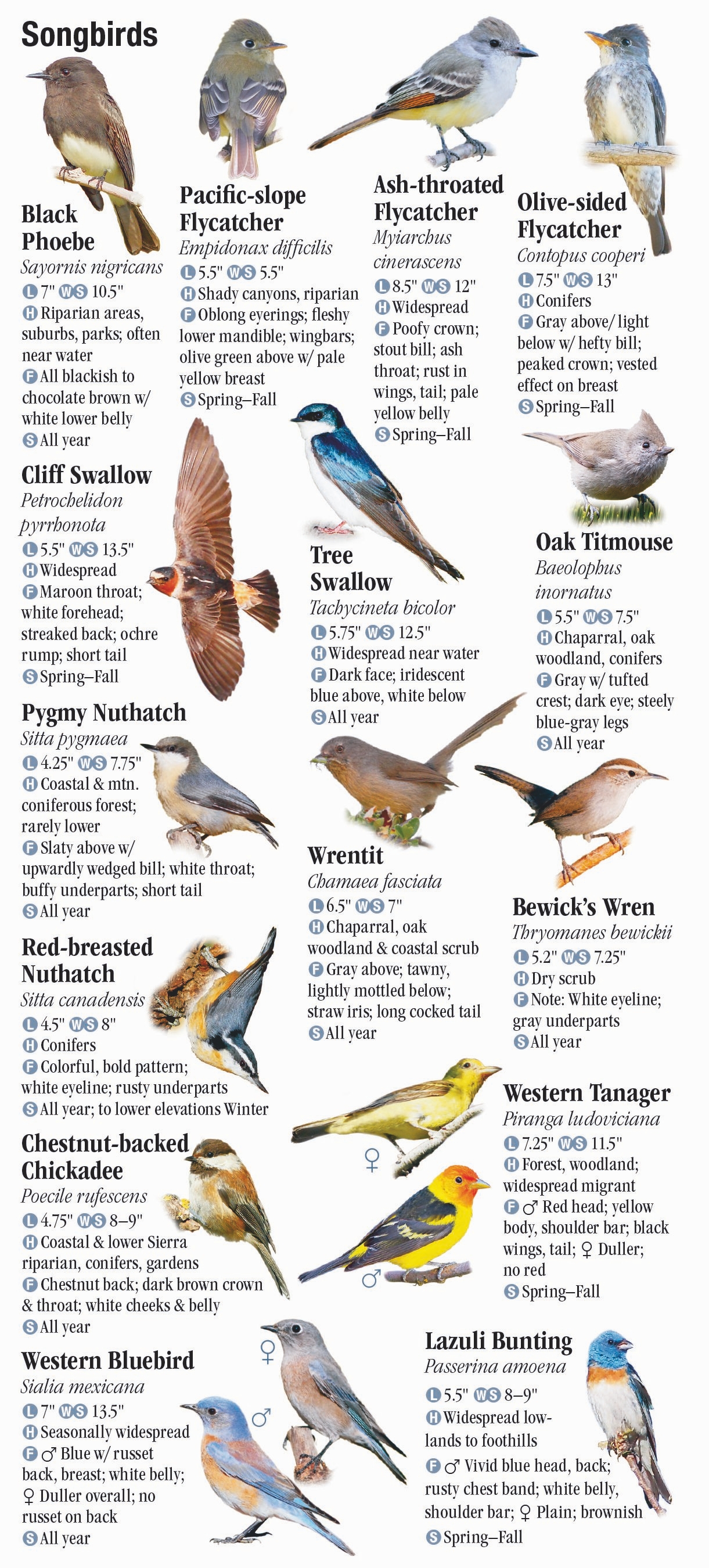 birds-of-central-northern-california-quick-reference-publishing