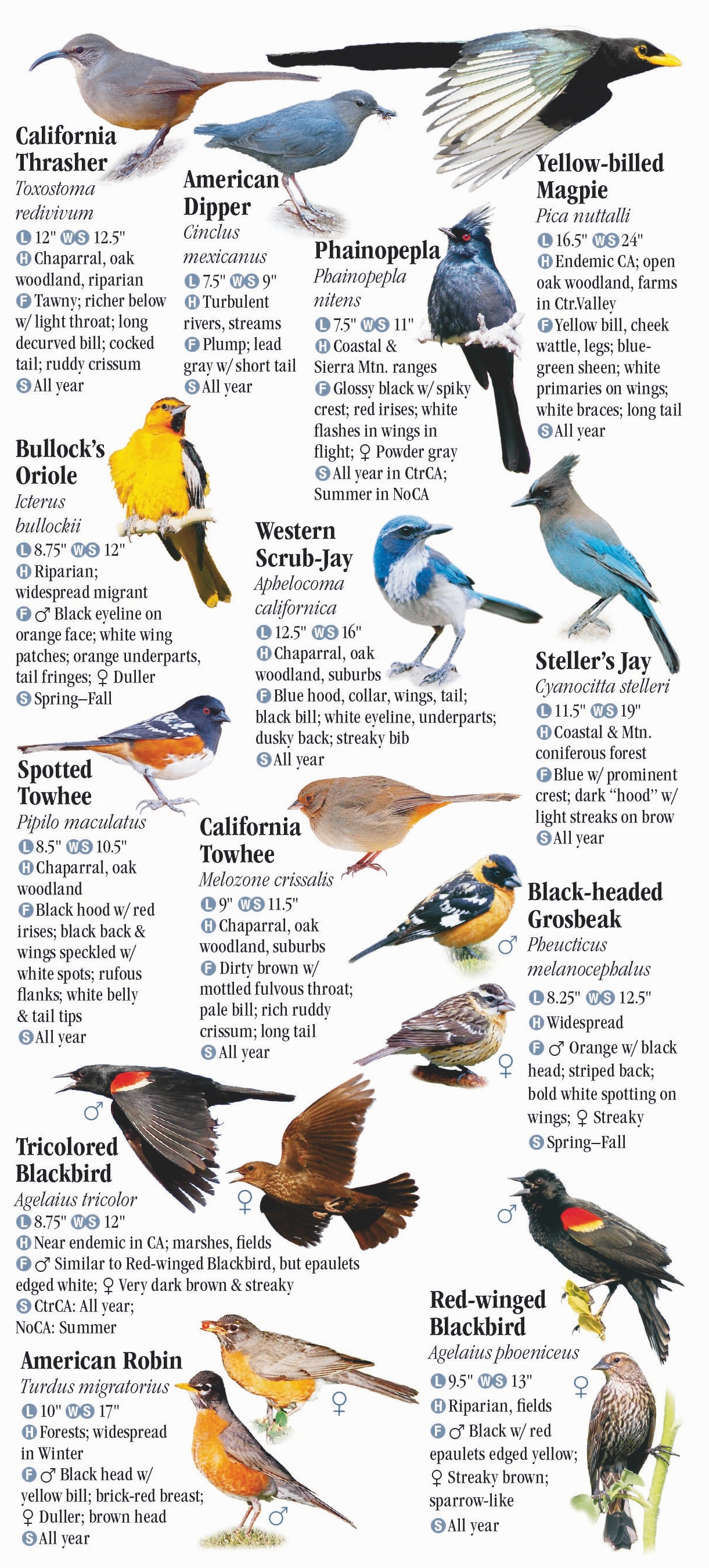 birds-of-central-northern-california-quick-reference-publishing