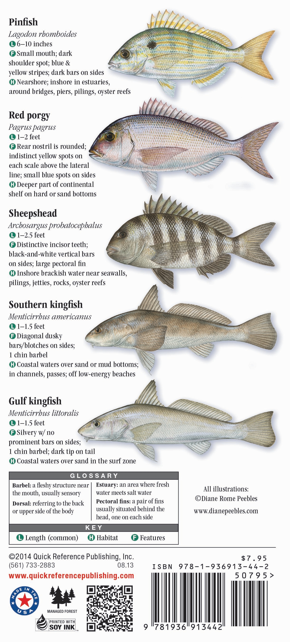 Saltwater Fishes of Louisiana – Quick Reference Publishing