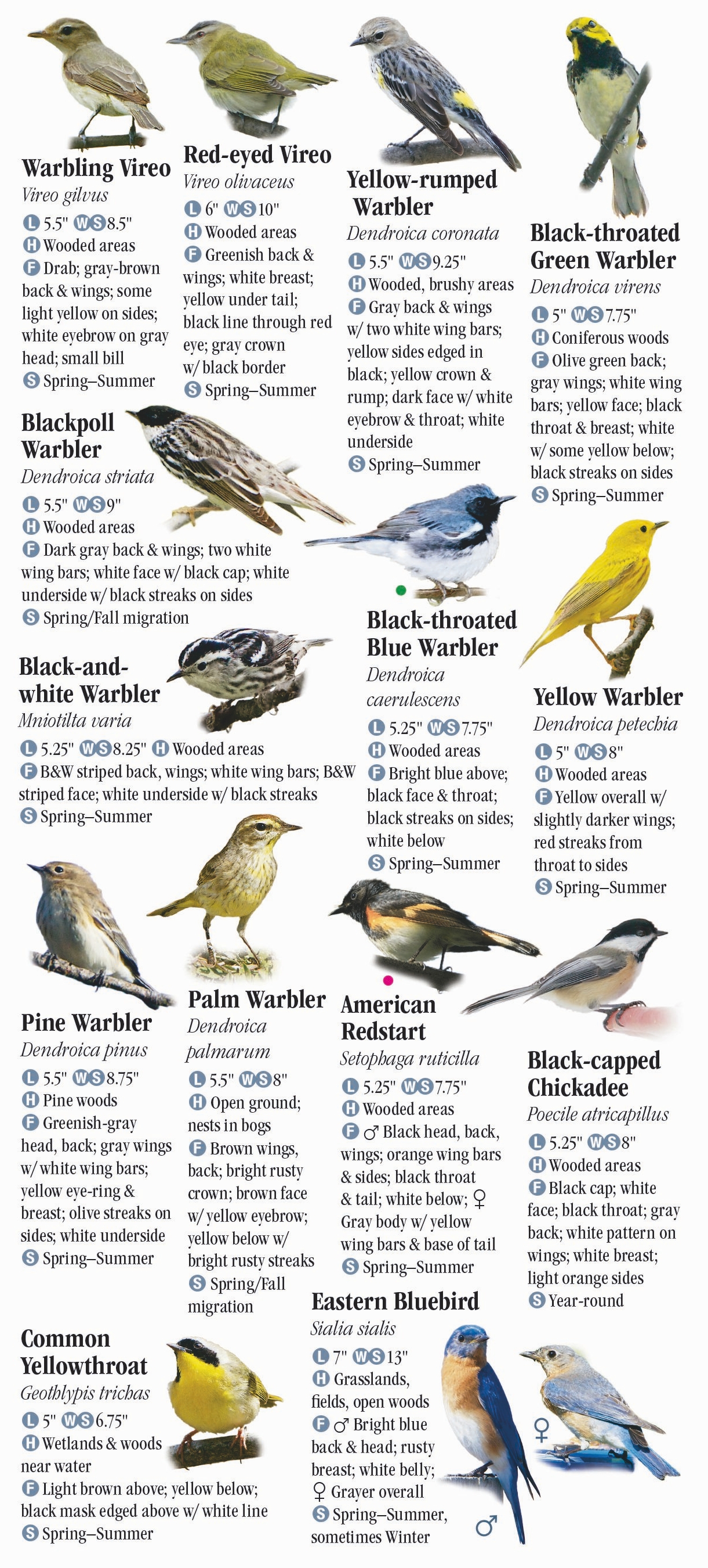 birds-of-new-york-quick-reference-publishing