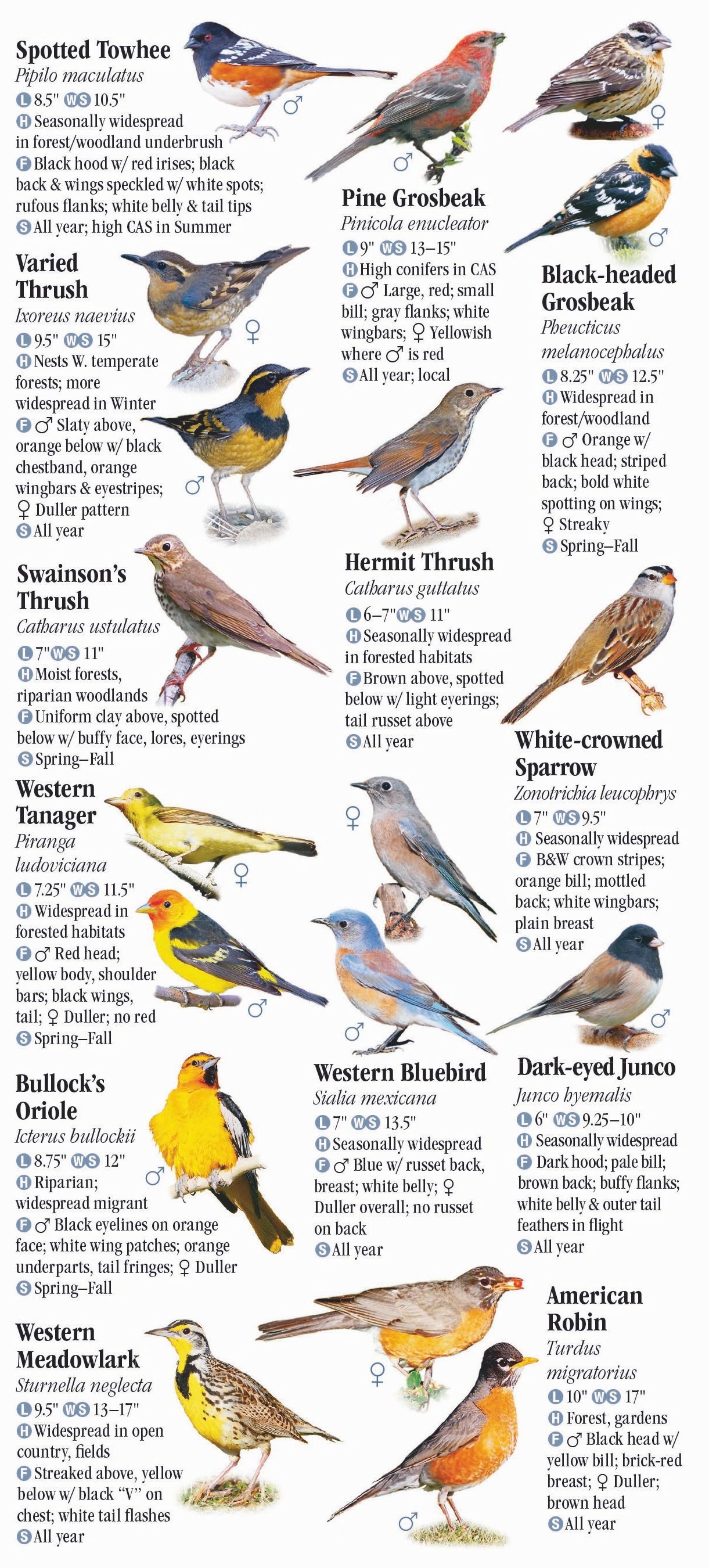 Birds of Washington – Quick Reference Publishing Wholesale