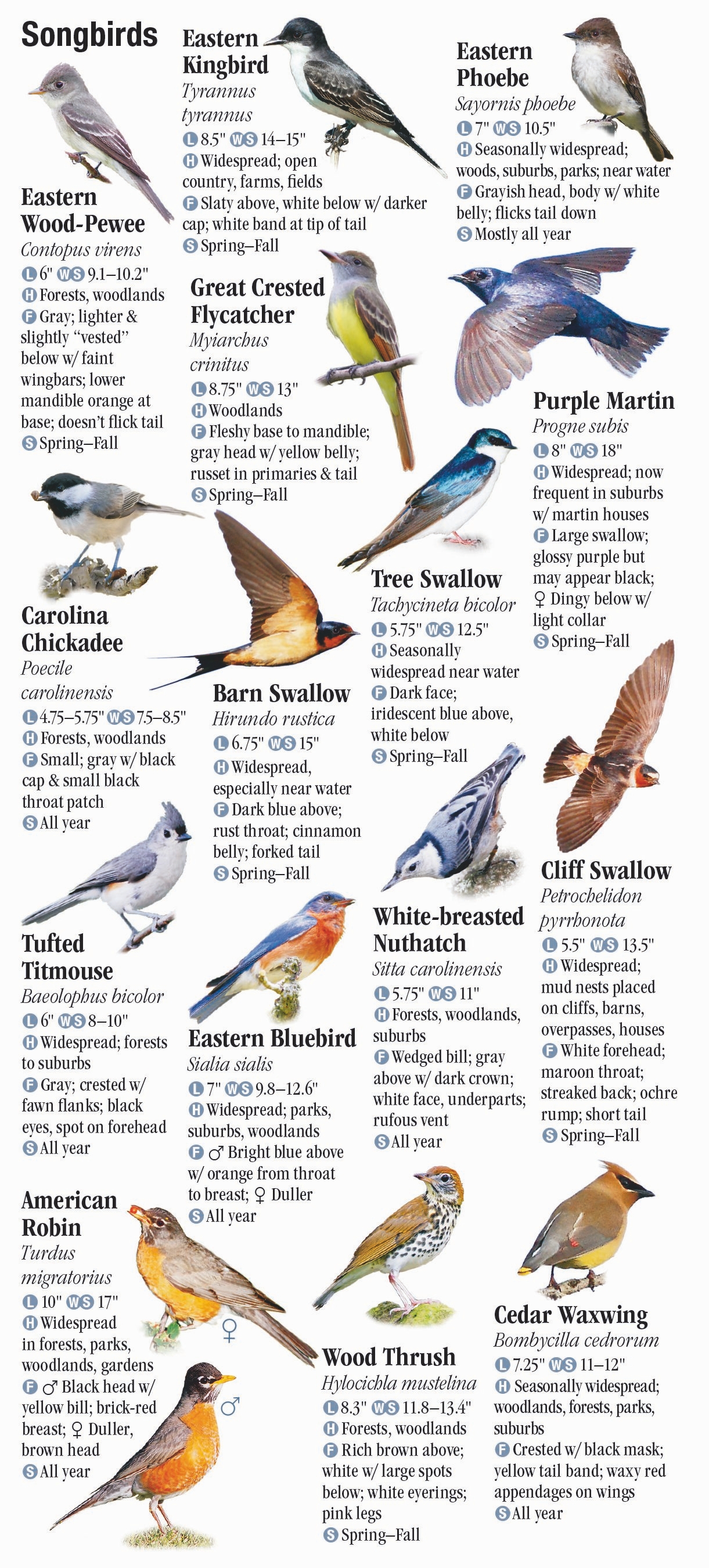 birds-of-kentucky-quick-reference-publishing