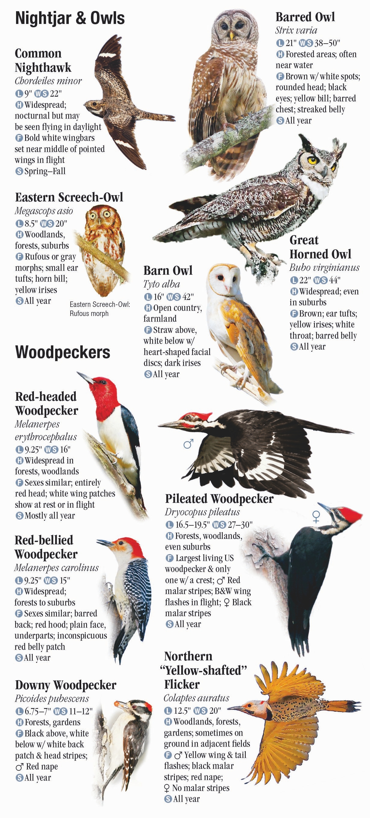 Birds of Kentucky – Quick Reference Publishing