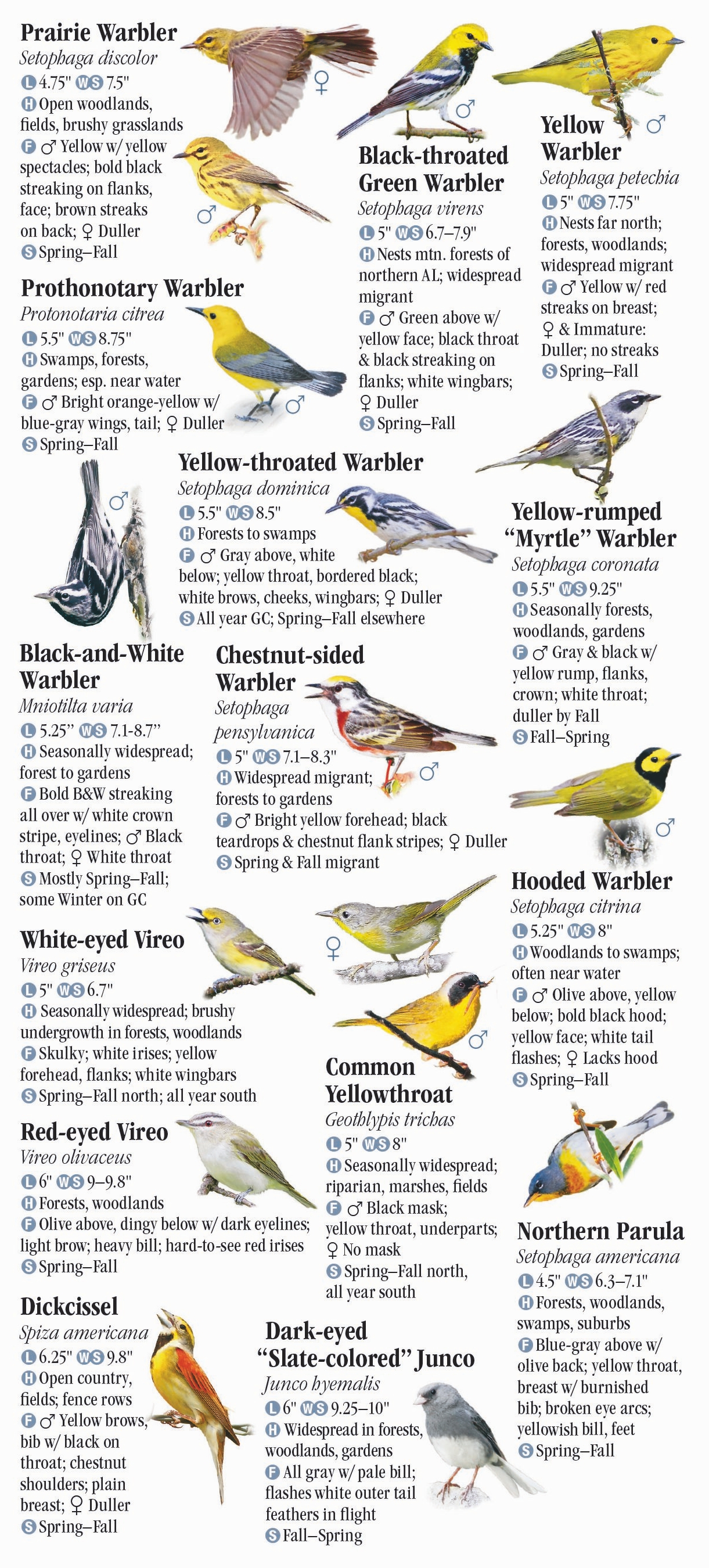 Birds Of Alabama And Mississippi – Quick Reference Publishing Wholesale