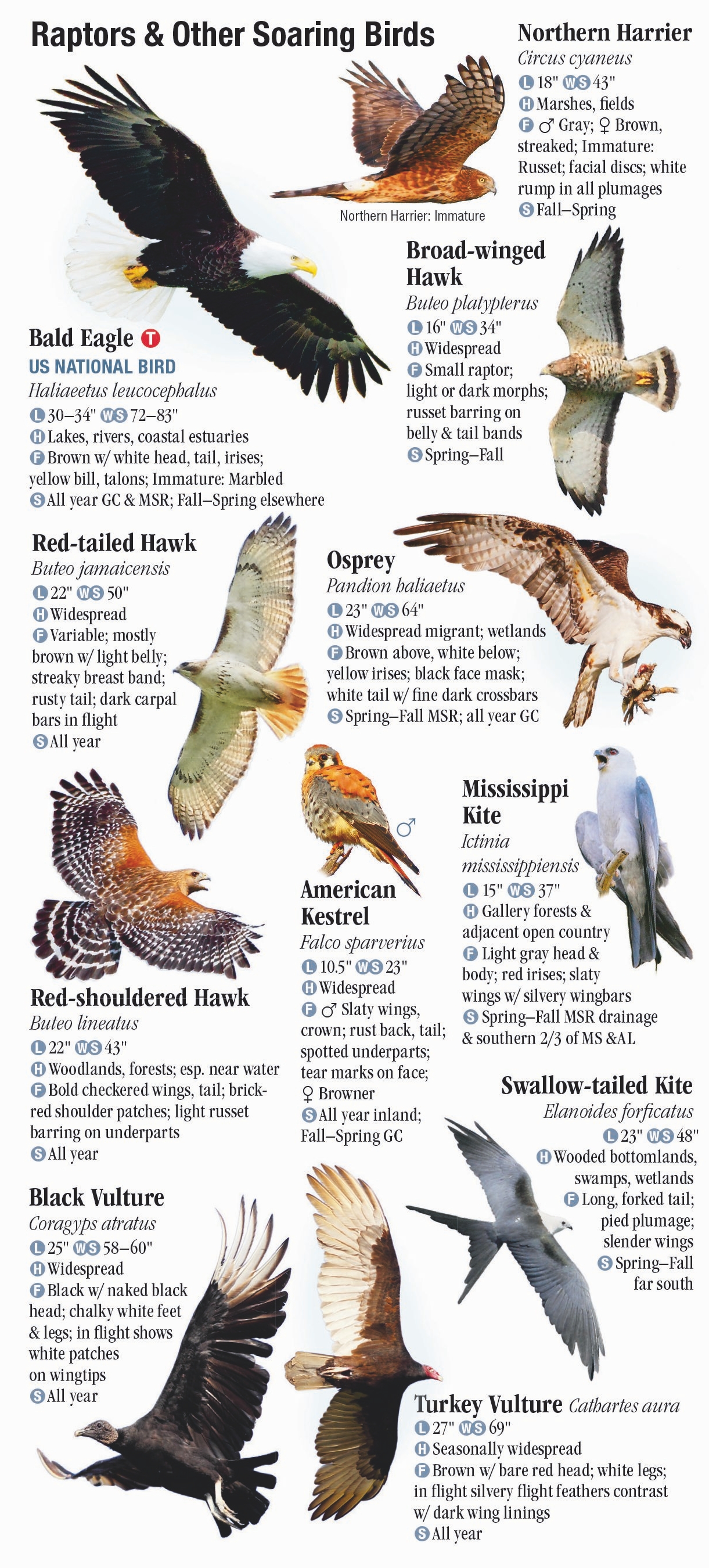 Birds of Alabama and Mississippi – Quick Reference Publishing Wholesale