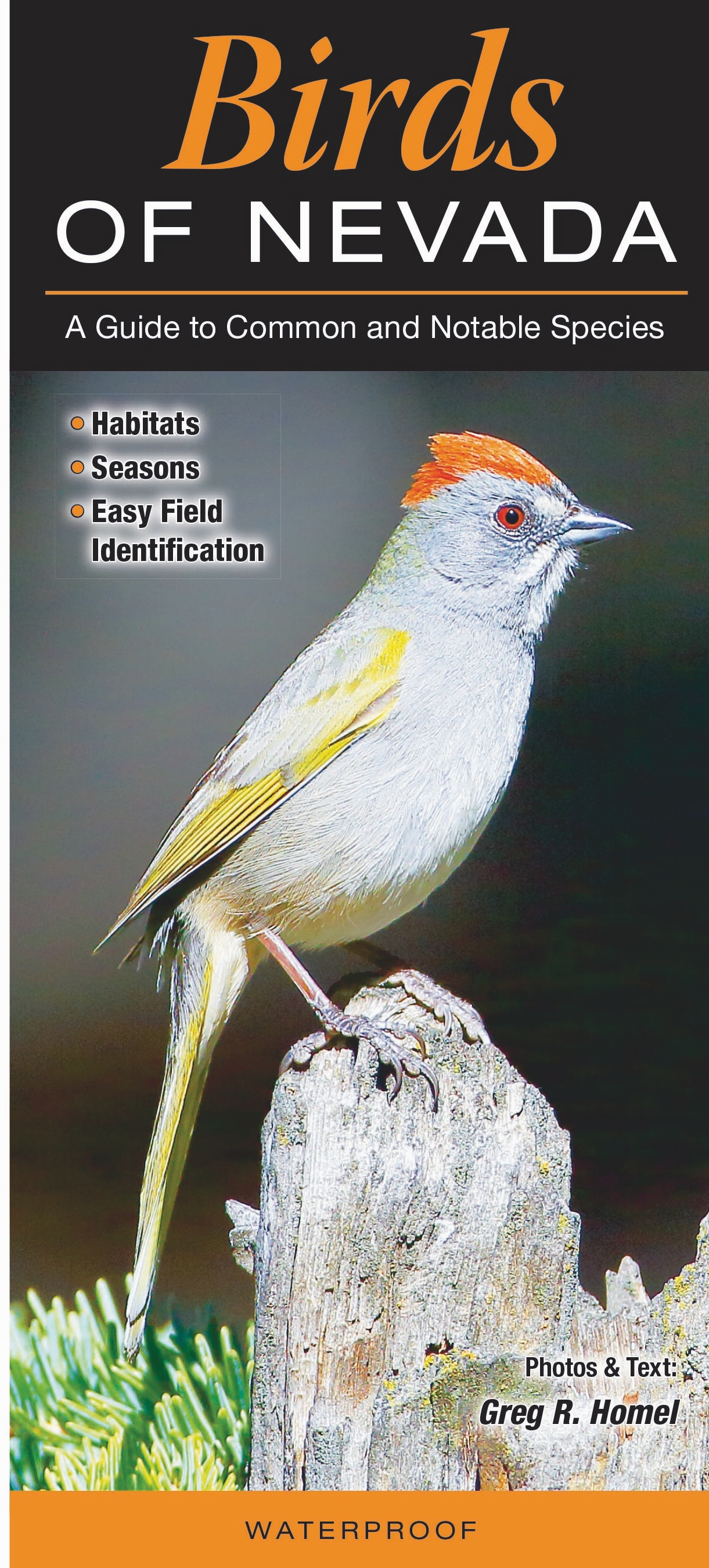 Birds of Nevada – Quick Reference Publishing