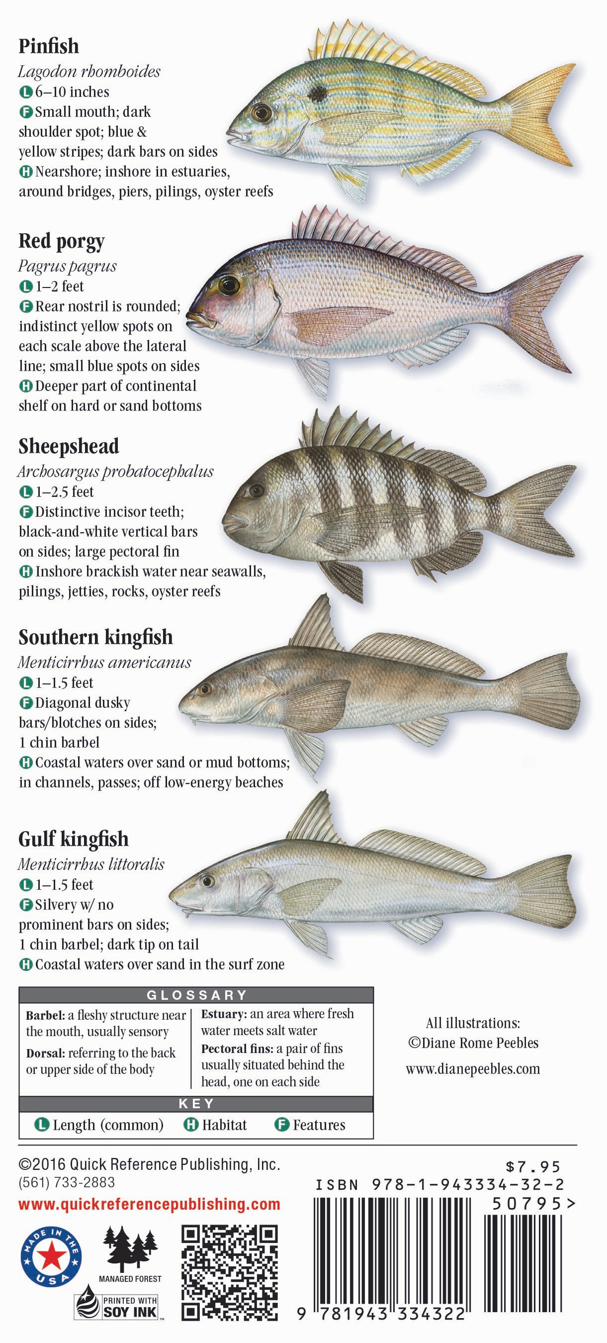 Saltwater Fishes of Alabama and Mississippi – Quick Reference ...