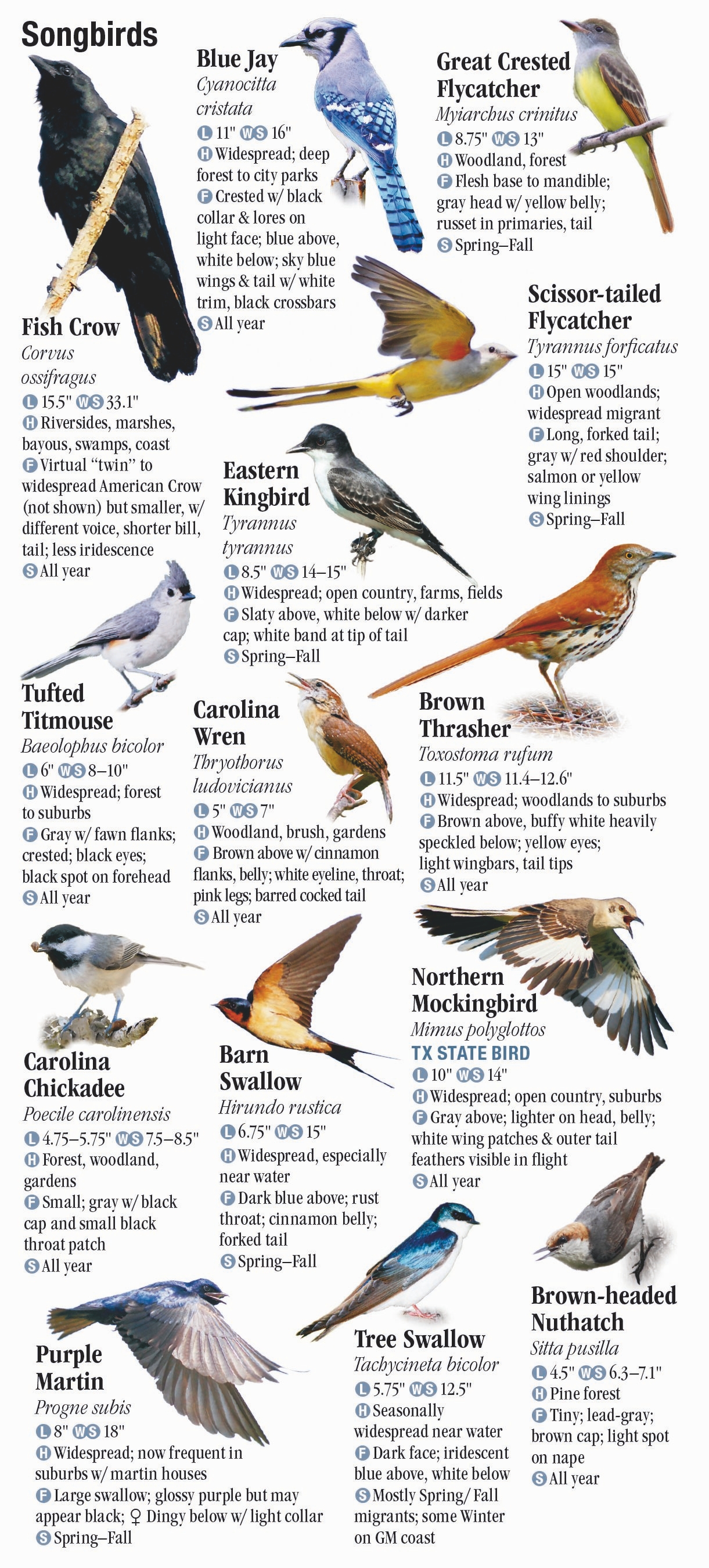 Birds of East Texas – Quick Reference Publishing