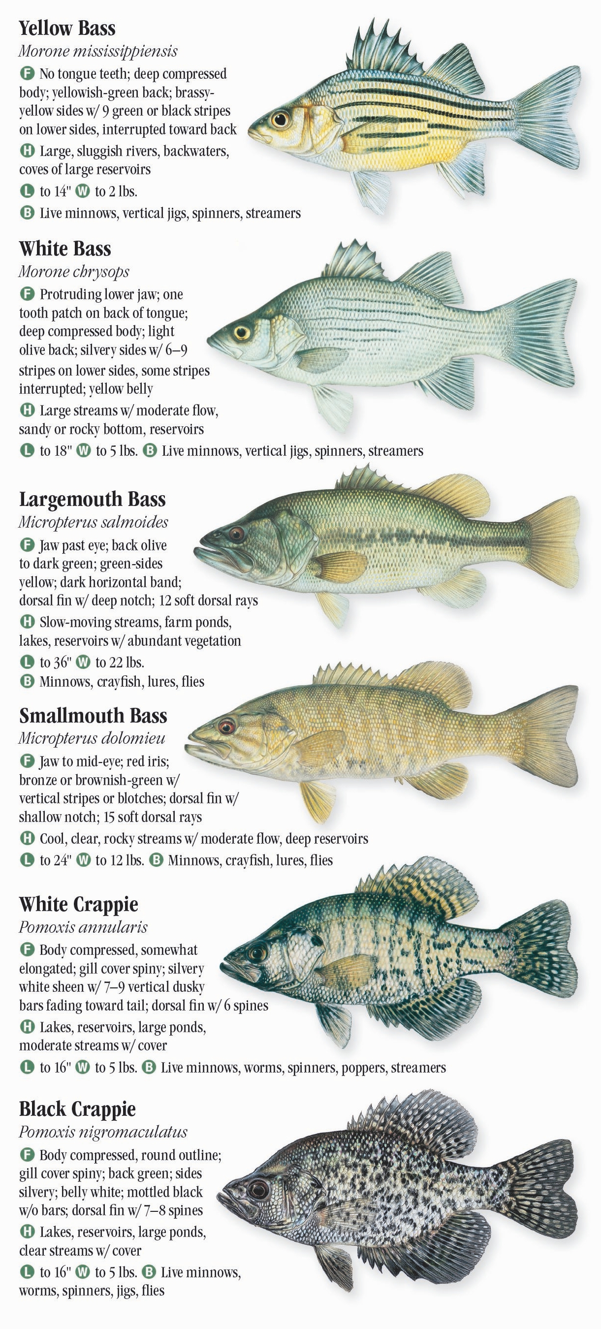 Freshwater Fishes of Michigan – Quick Reference Publishing