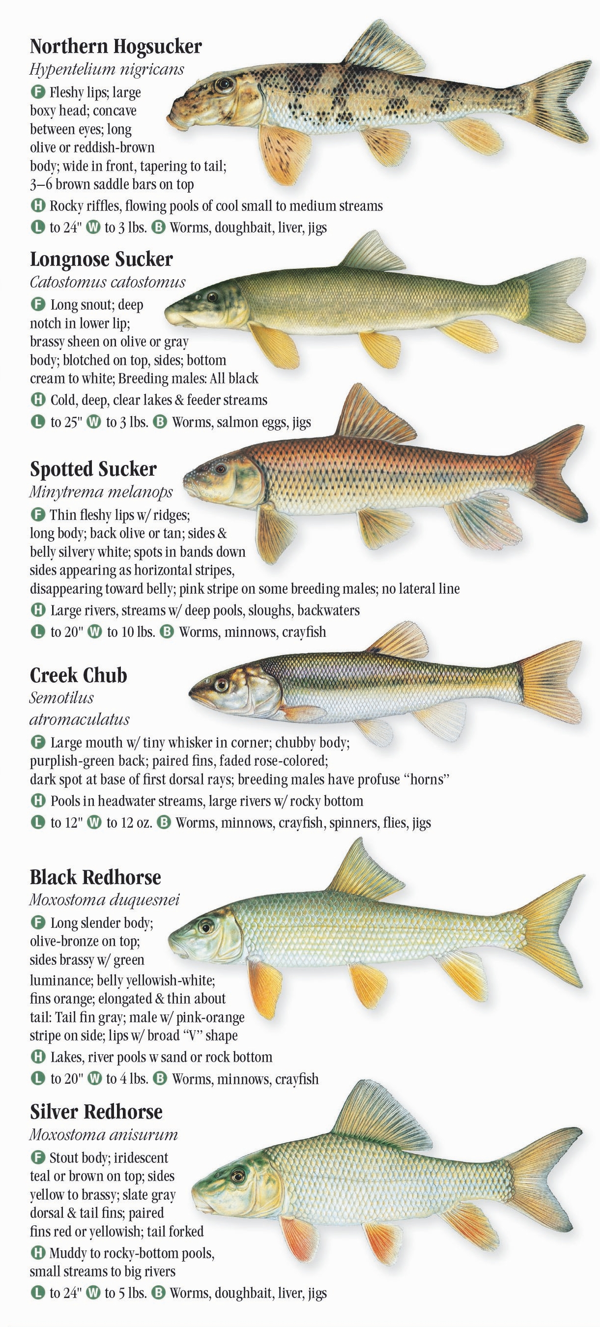 freshwater-fishes-of-indiana-quick-reference-publishing