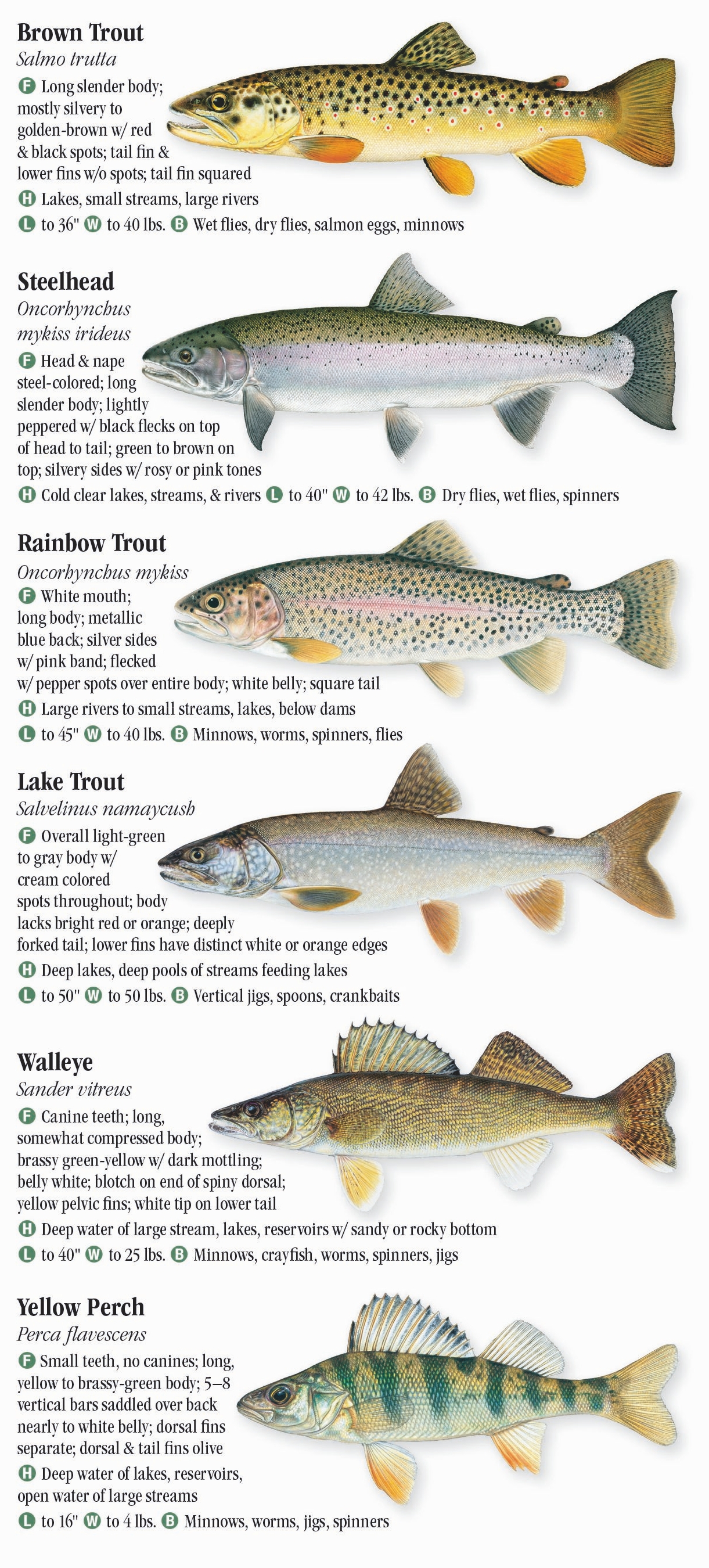 freshwater-fishes-of-indiana-quick-reference-publishing