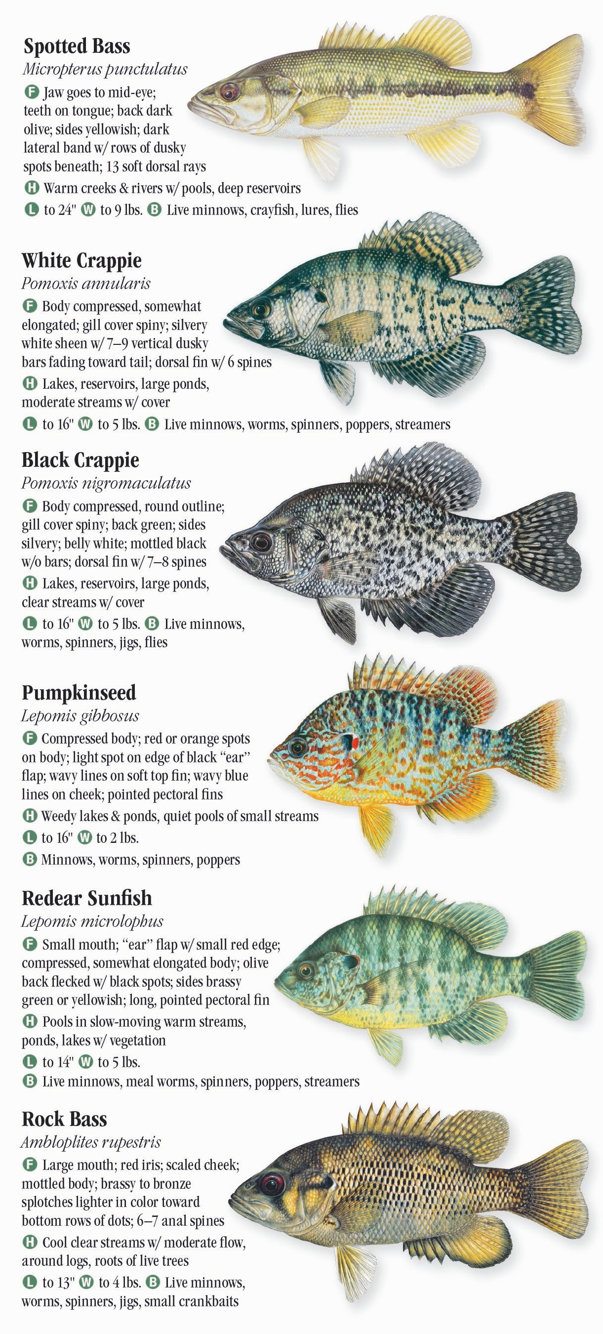 freshwater-fishes-of-indiana-quick-reference-publishing