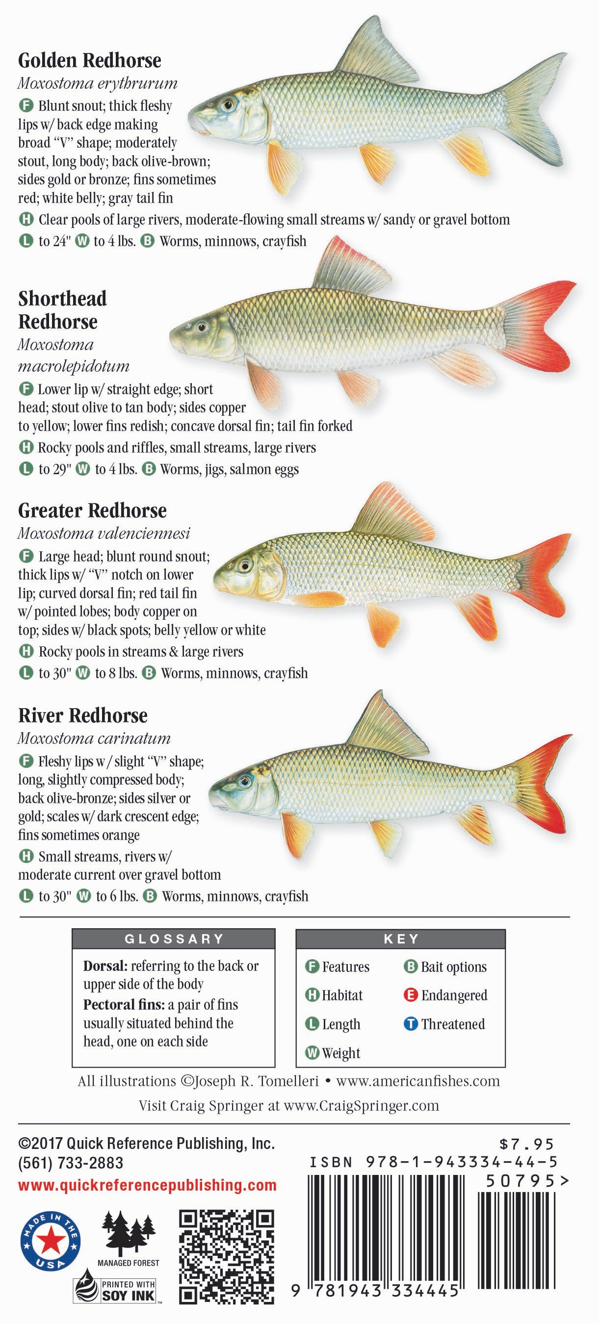 Freshwater Fishes Of Indiana – Quick Reference Publishing Wholesale