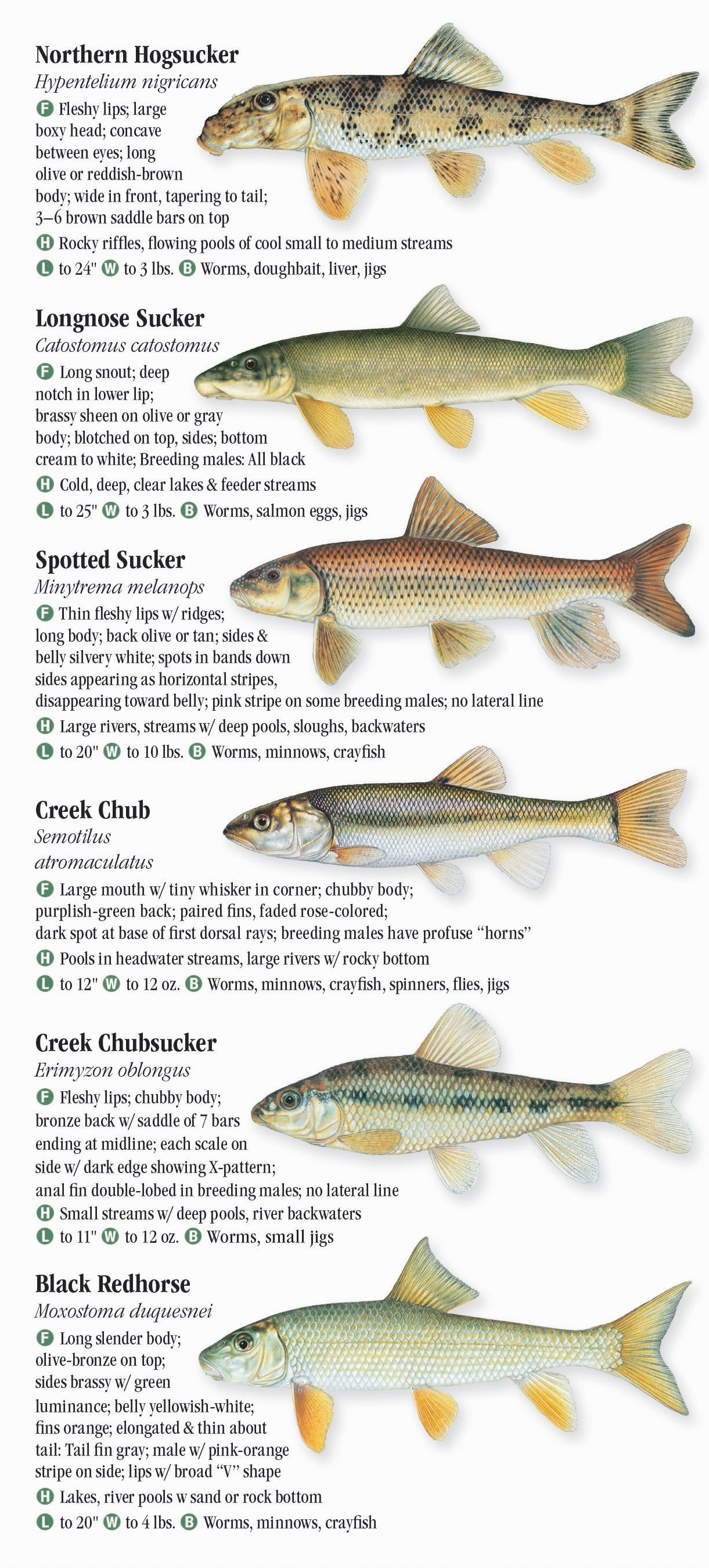 Freshwater Fishes of Illinois – Quick Reference Publishing