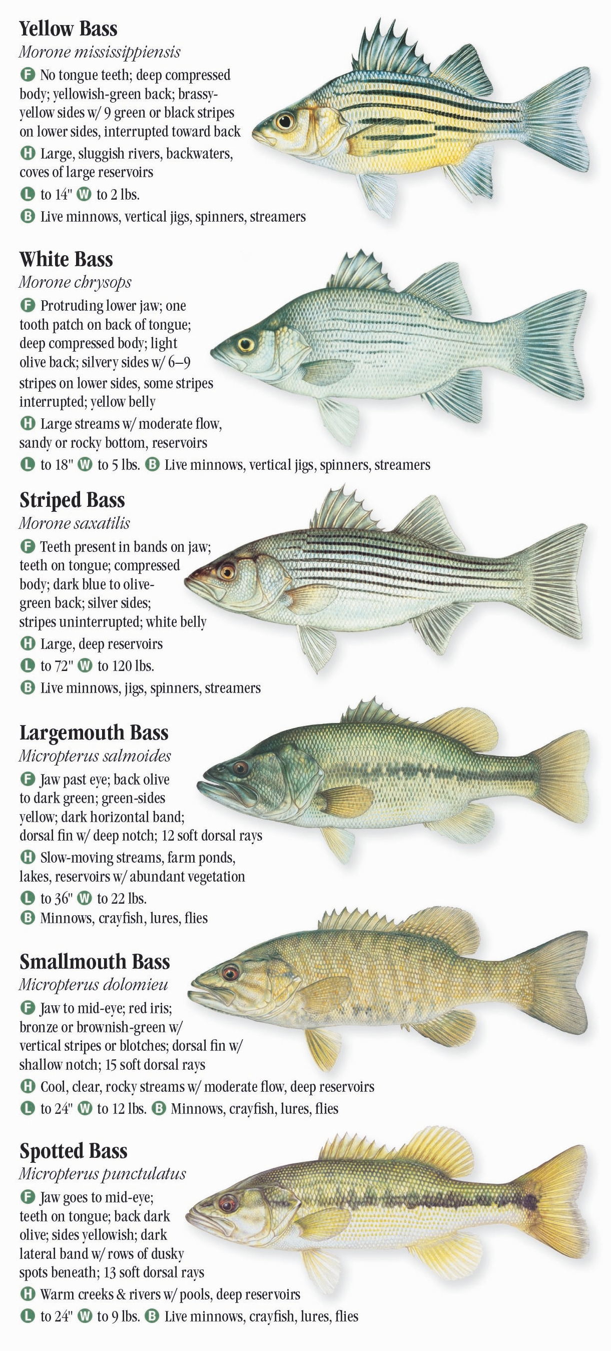 Freshwater Fishes of Illinois – Quick Reference Publishing