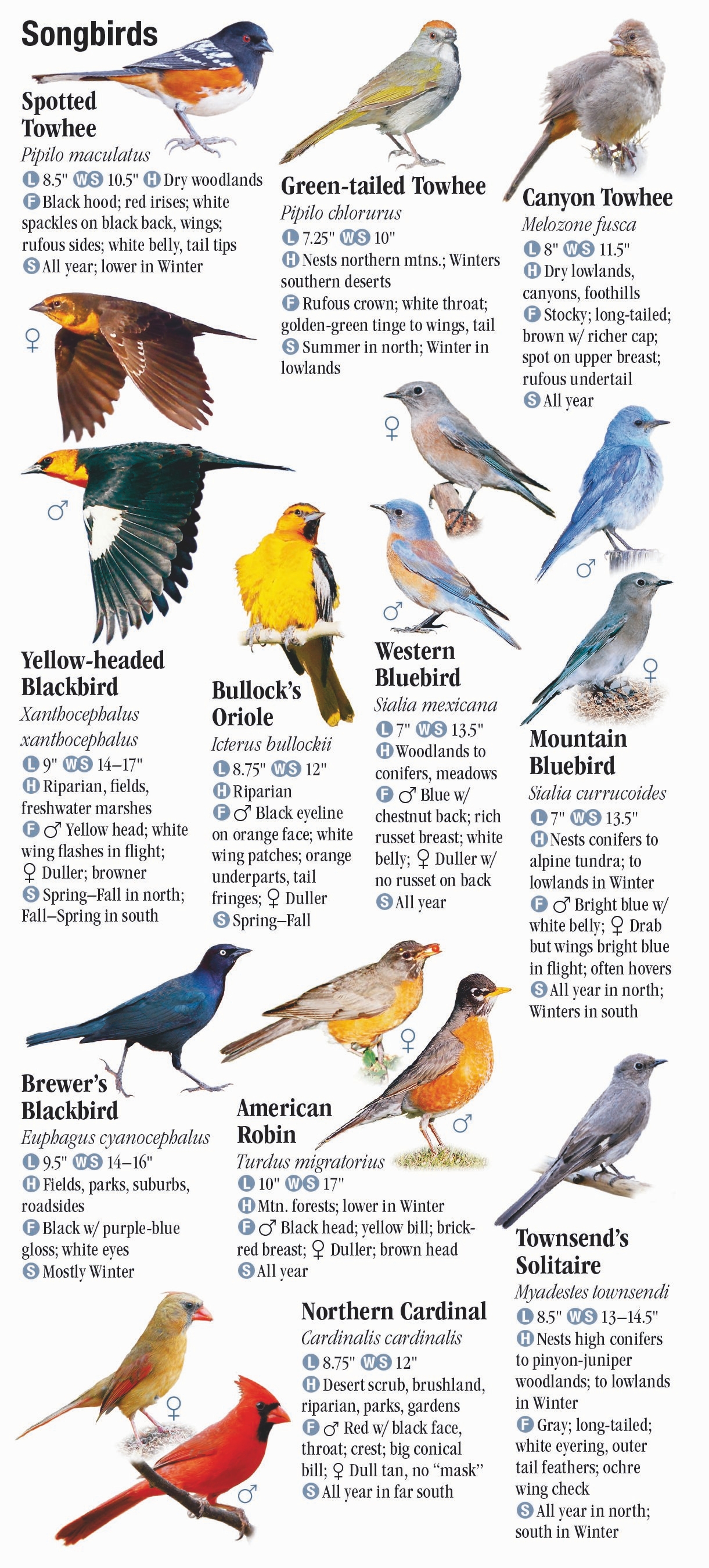 Birds of New Mexico – Quick Reference Publishing