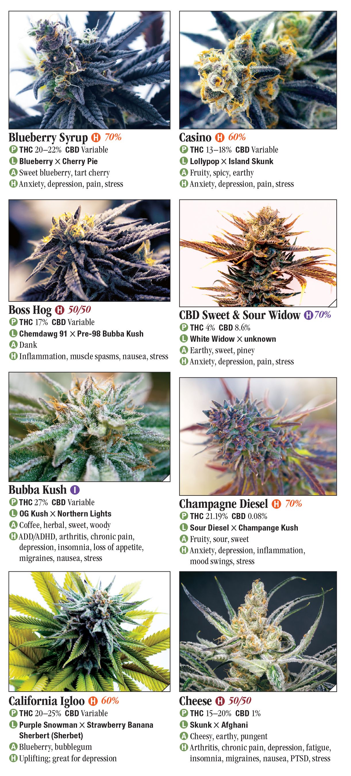 Cannabis: A Guide To Common And Exotic Strains – Quick Reference ...