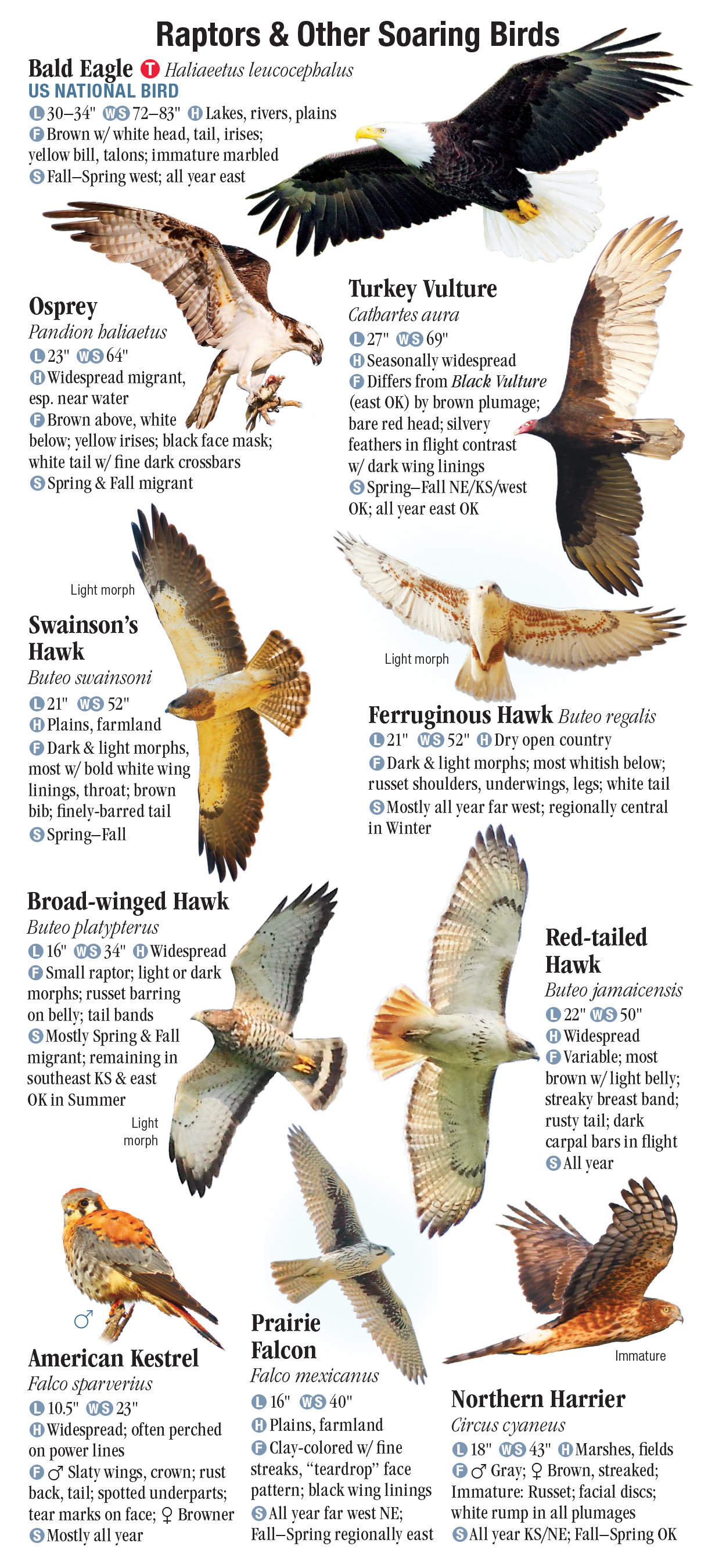 Birds of the Great Plains – Quick Reference Publishing