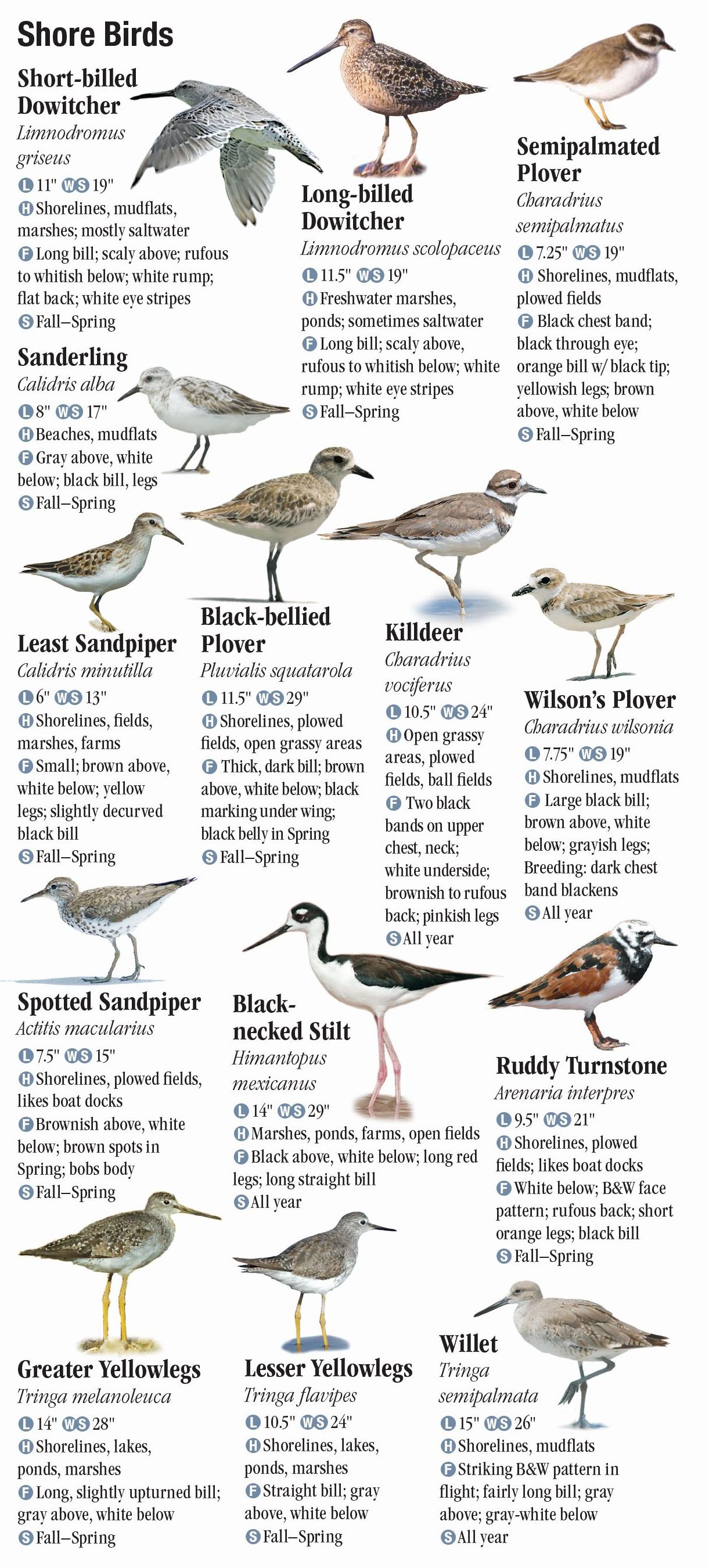 Birds of Southeast Florida – Quick Reference Publishing Retail