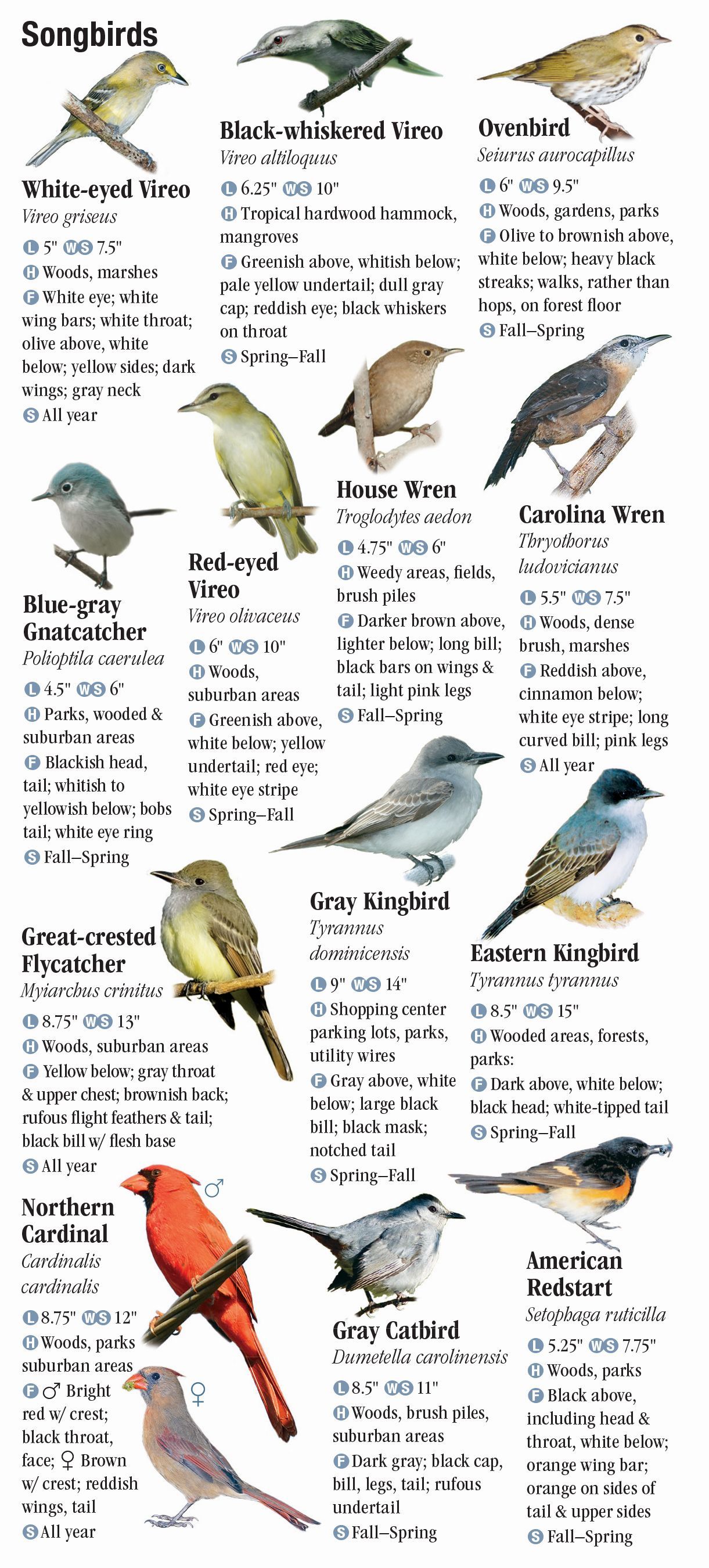 birds-of-the-florida-keys-quick-reference-publishing-retail