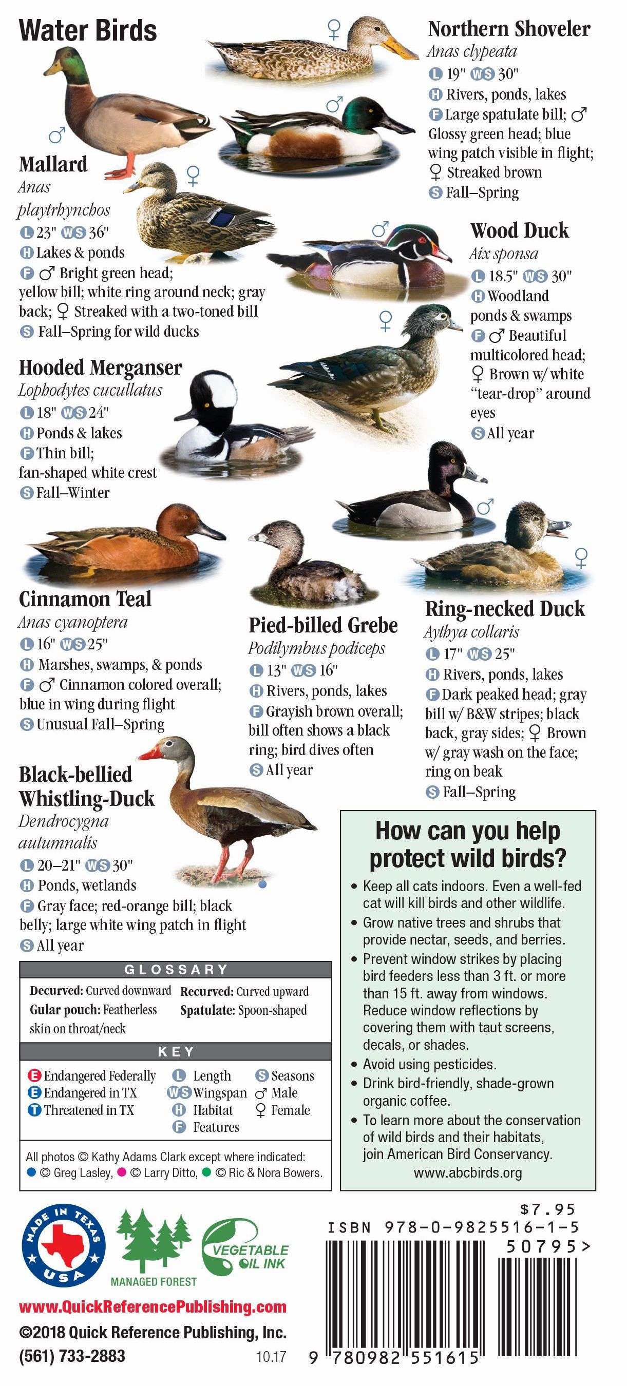 Birds of Southeast Texas and the Upper Texas Coast – Quick Reference ...