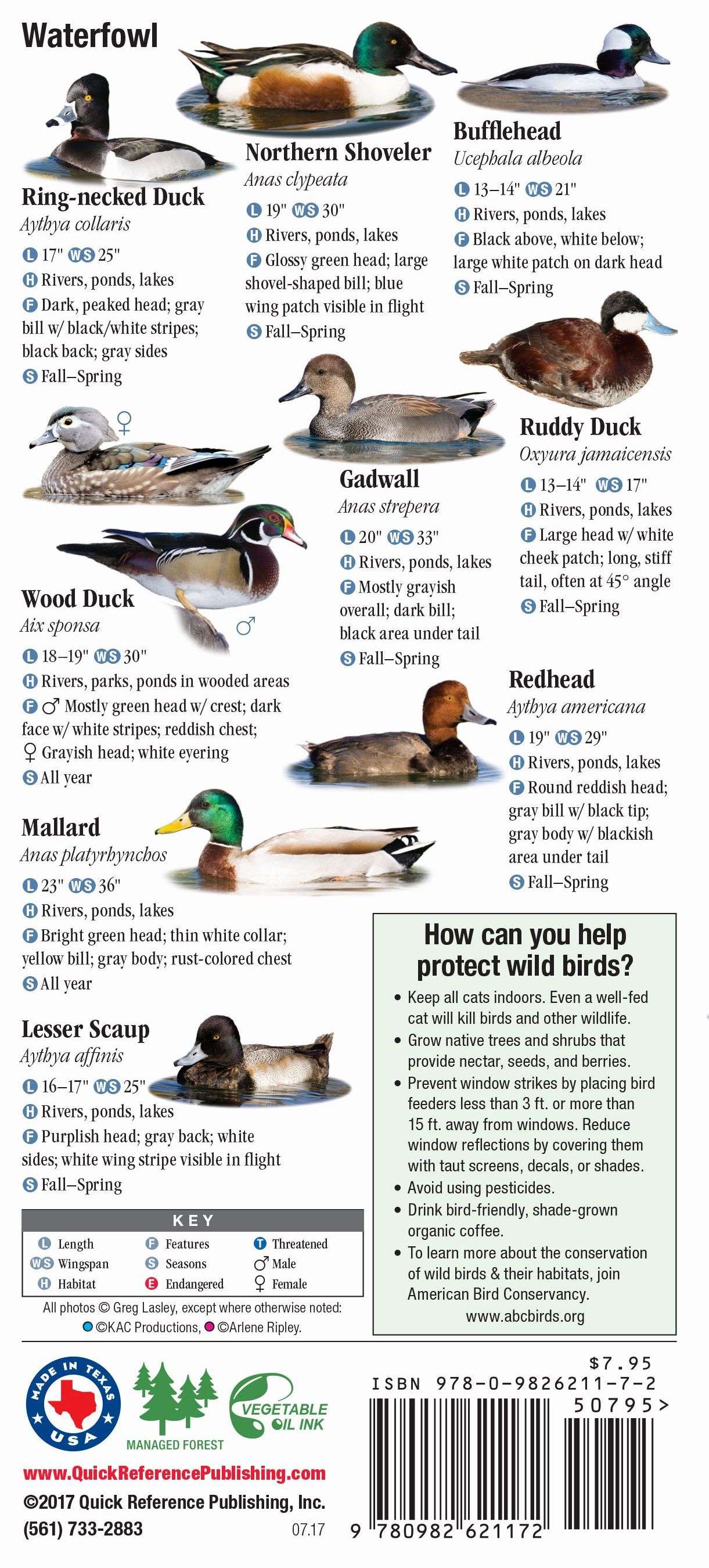 Birds of North Texas – Quick Reference Publishing Retail