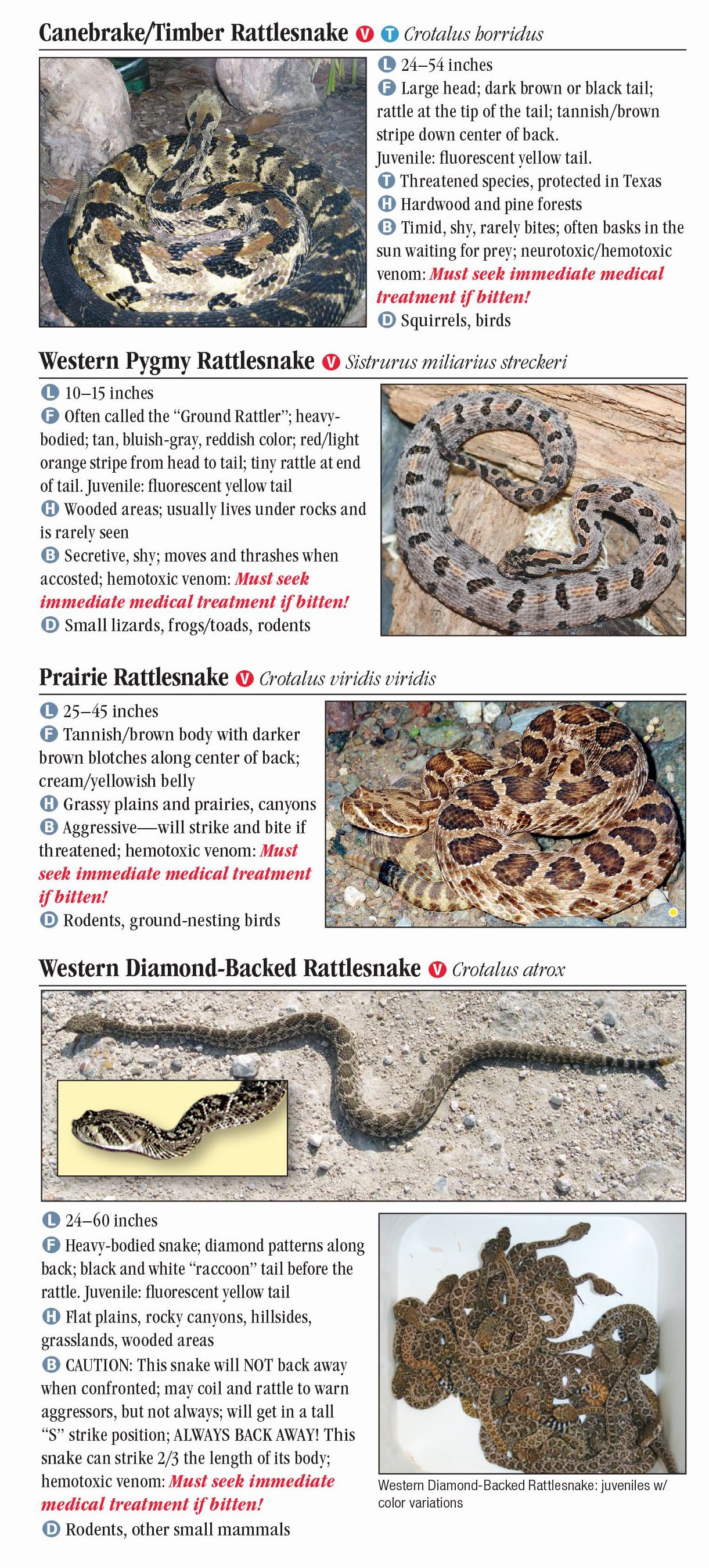 Snakes of North Texas – Quick Reference Publishing Retail