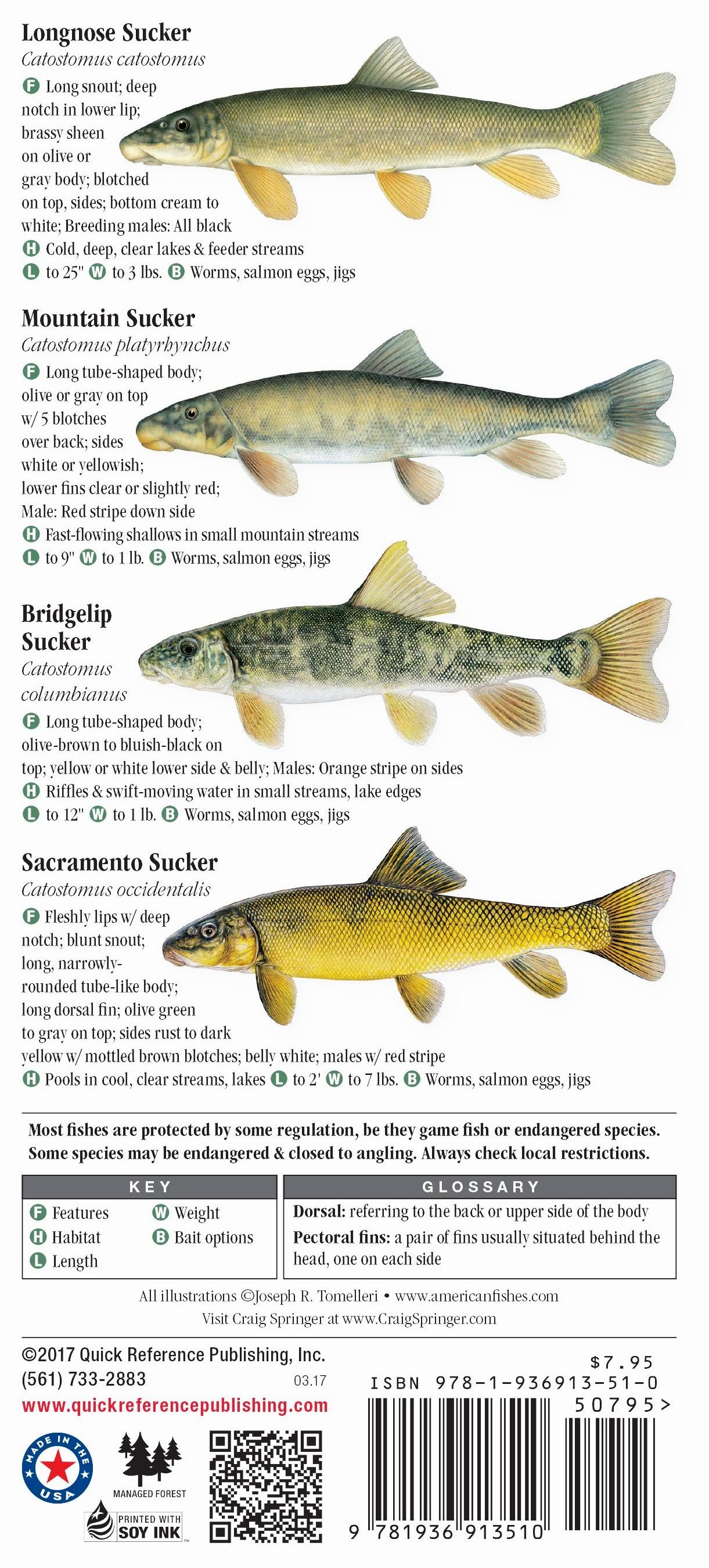 Freshwater Fishes of the Pacific Northwest – Quick Reference Publishing