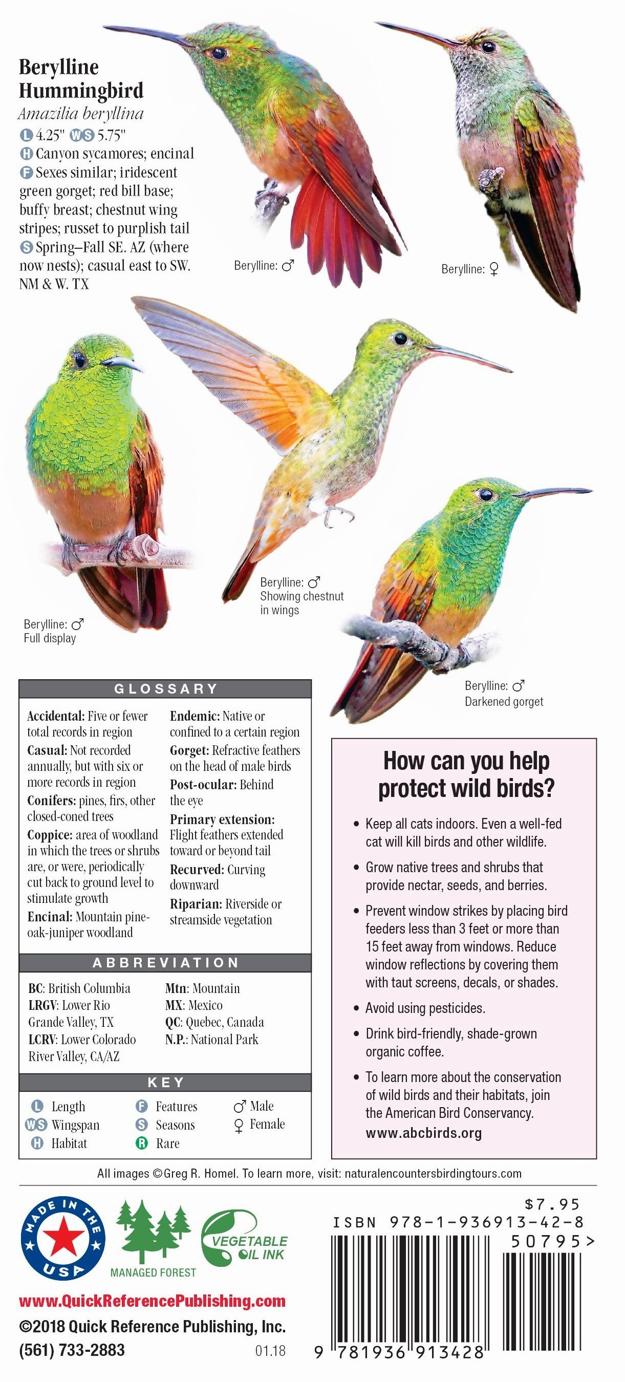 Hummingbirds of North America Quick Reference Publishing Retail