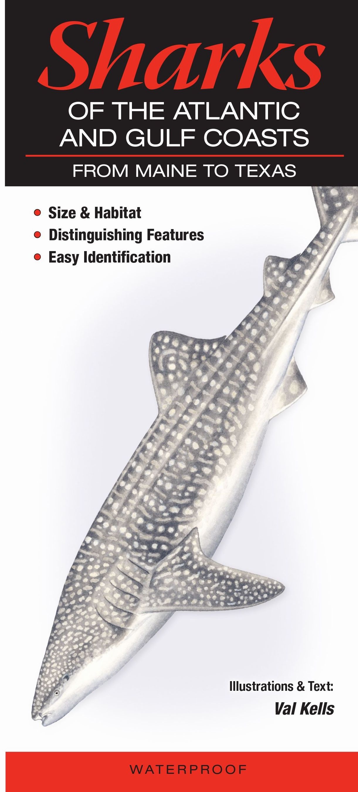 Sharks of the Atlantic and Gulf Coasts Quick Reference Guide