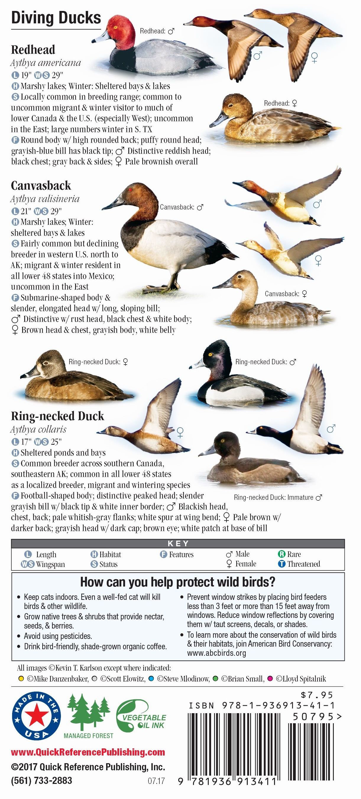 Waterfowl of North America – Quick Reference Publishing Retail