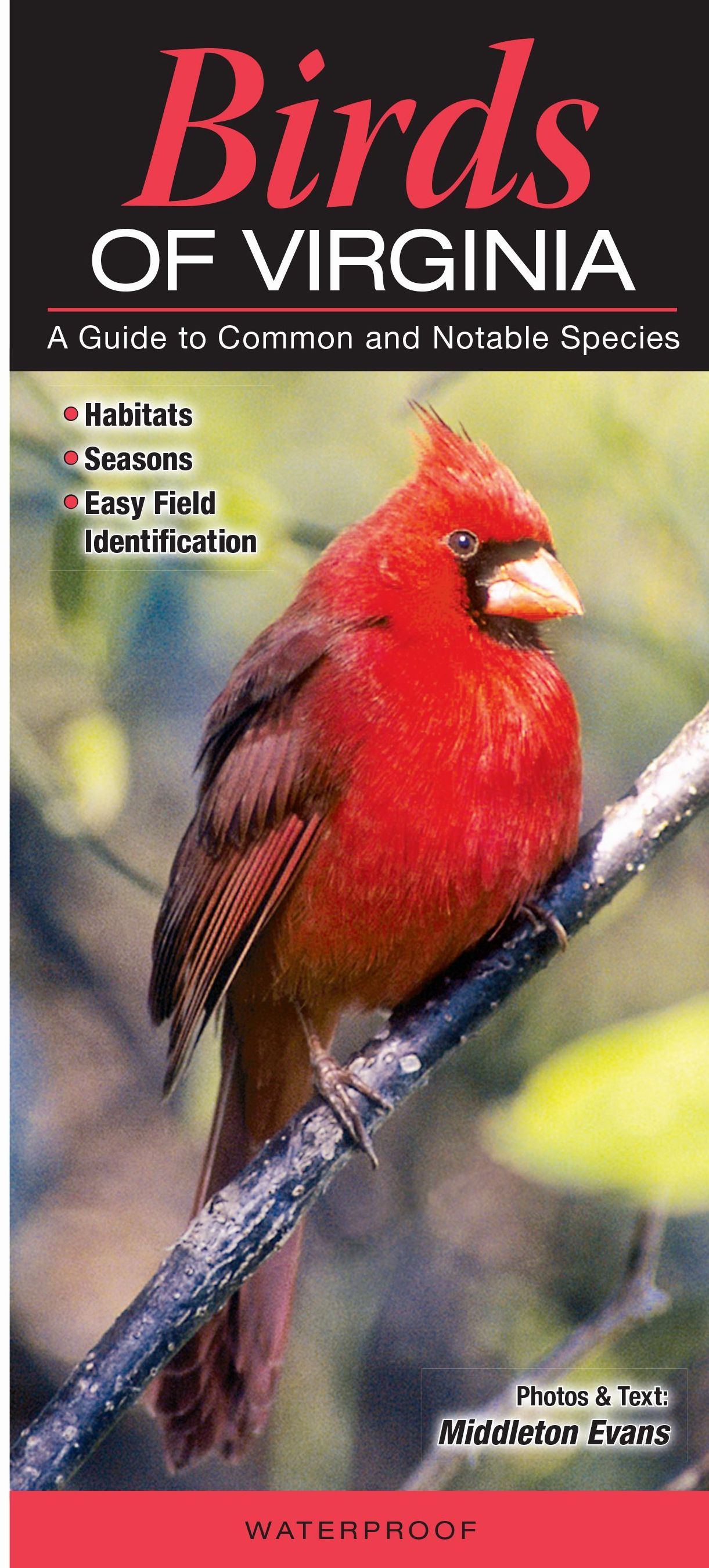 Birds Of Virginia – Quick Reference Publishing Retail