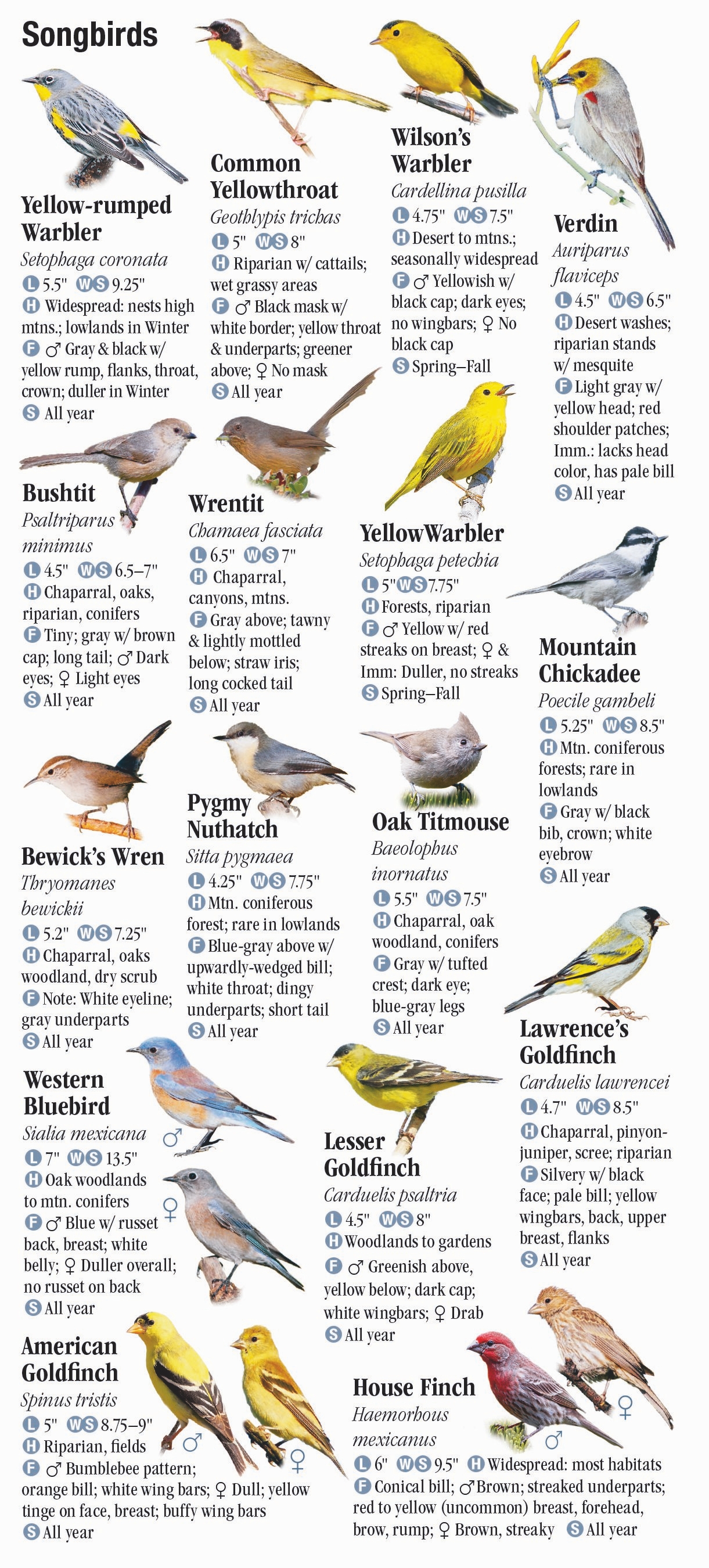 Birds of Southern California – Quick Reference Publishing