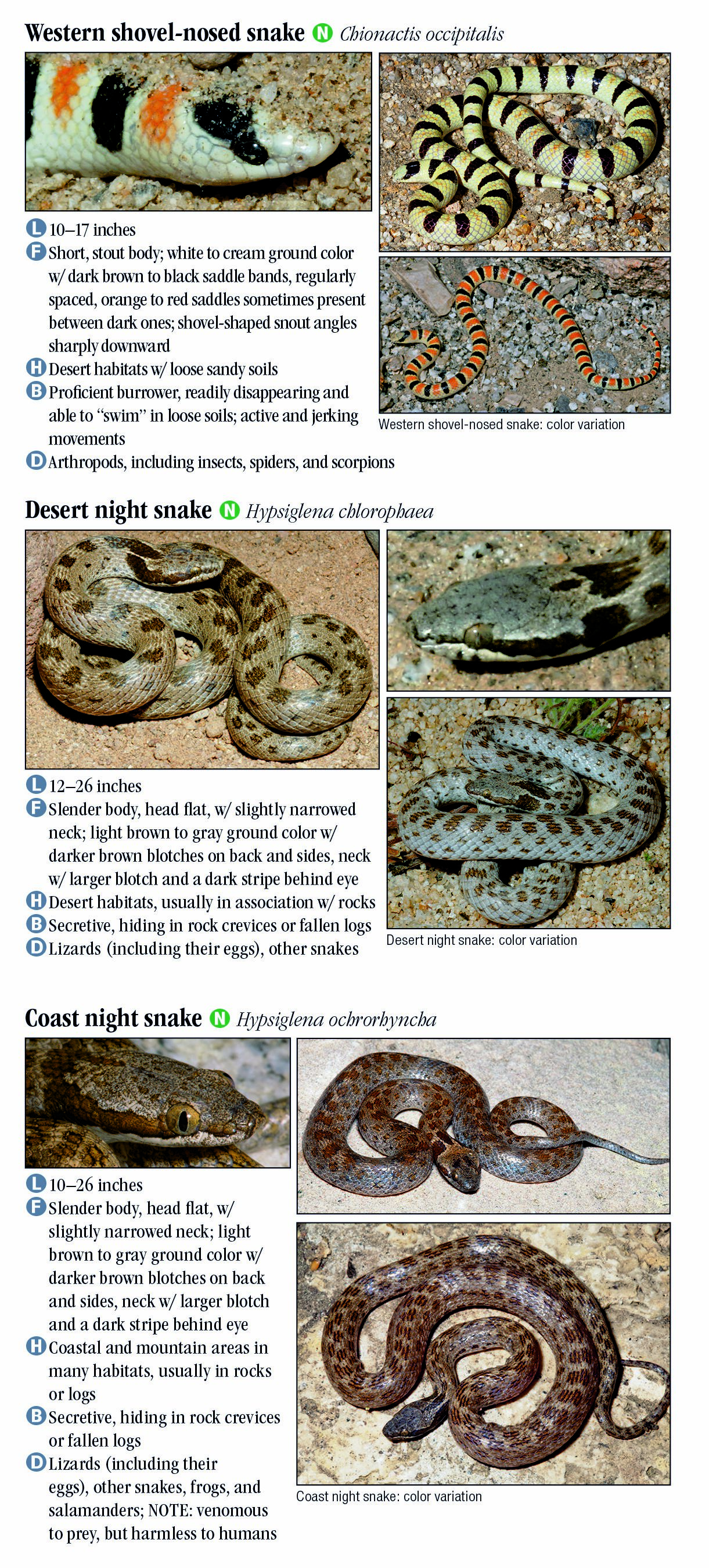 Poisonous Louisiana Snakes Identification Chart