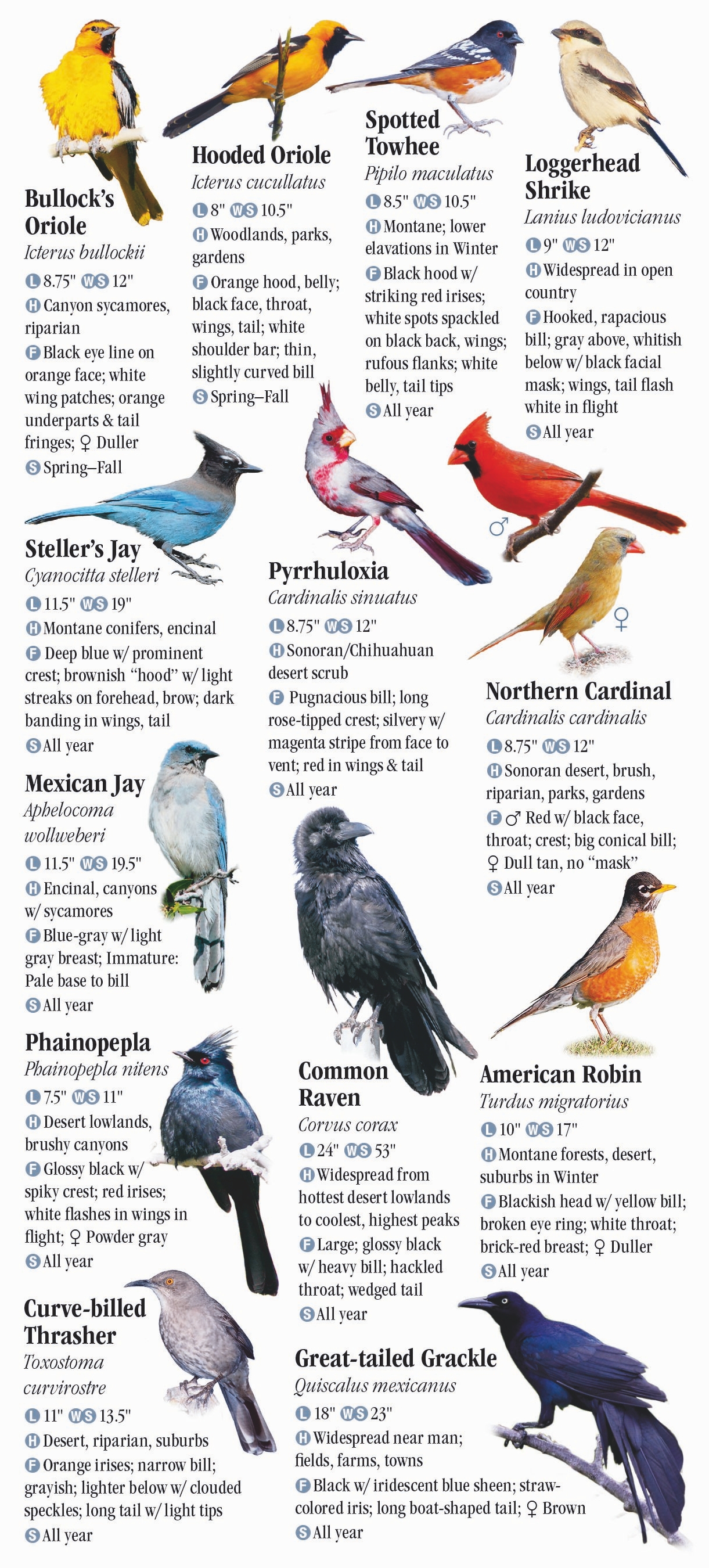 Birds of Southeast Arizona – Quick Reference Publishing Retail