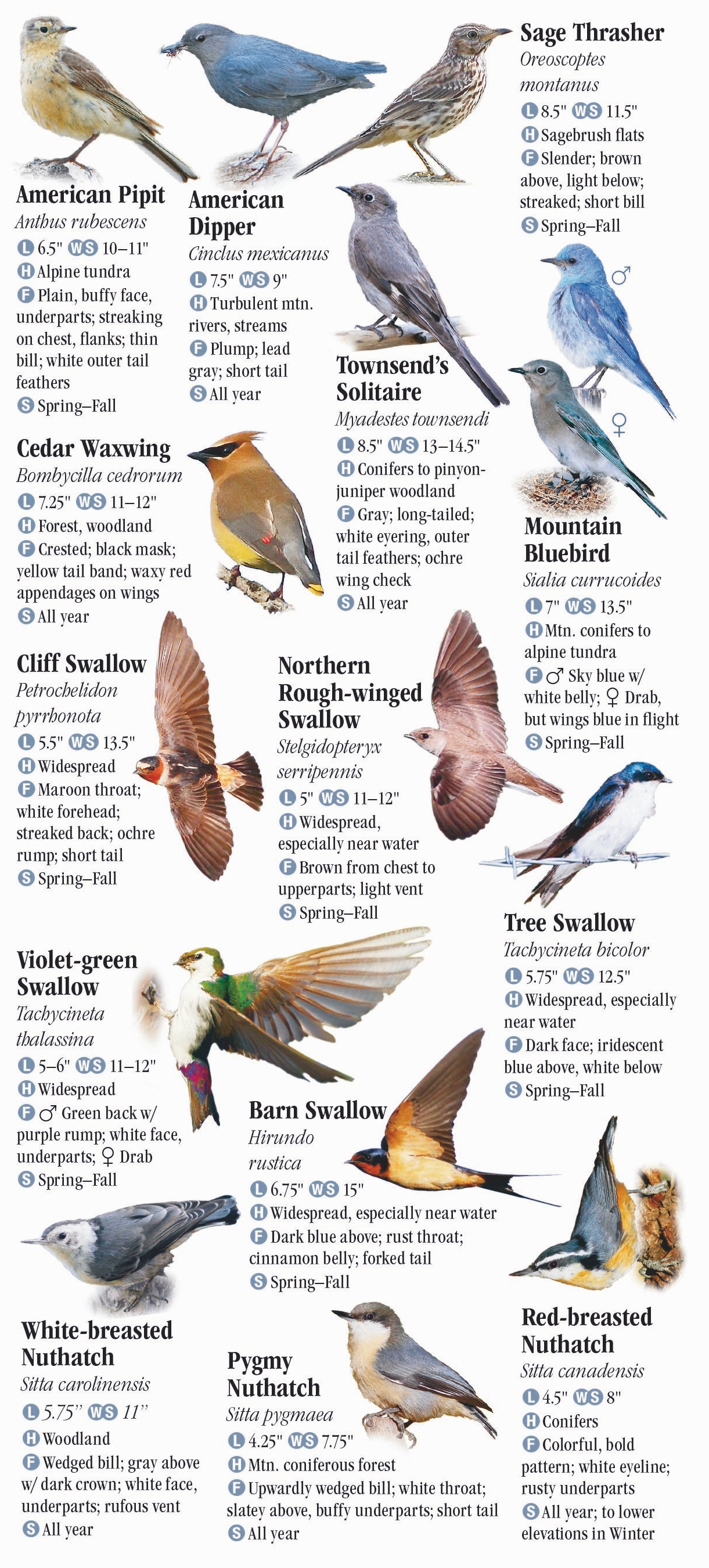 Birds of the Northern Rocky Mountains – Quick Reference Publishing Retail