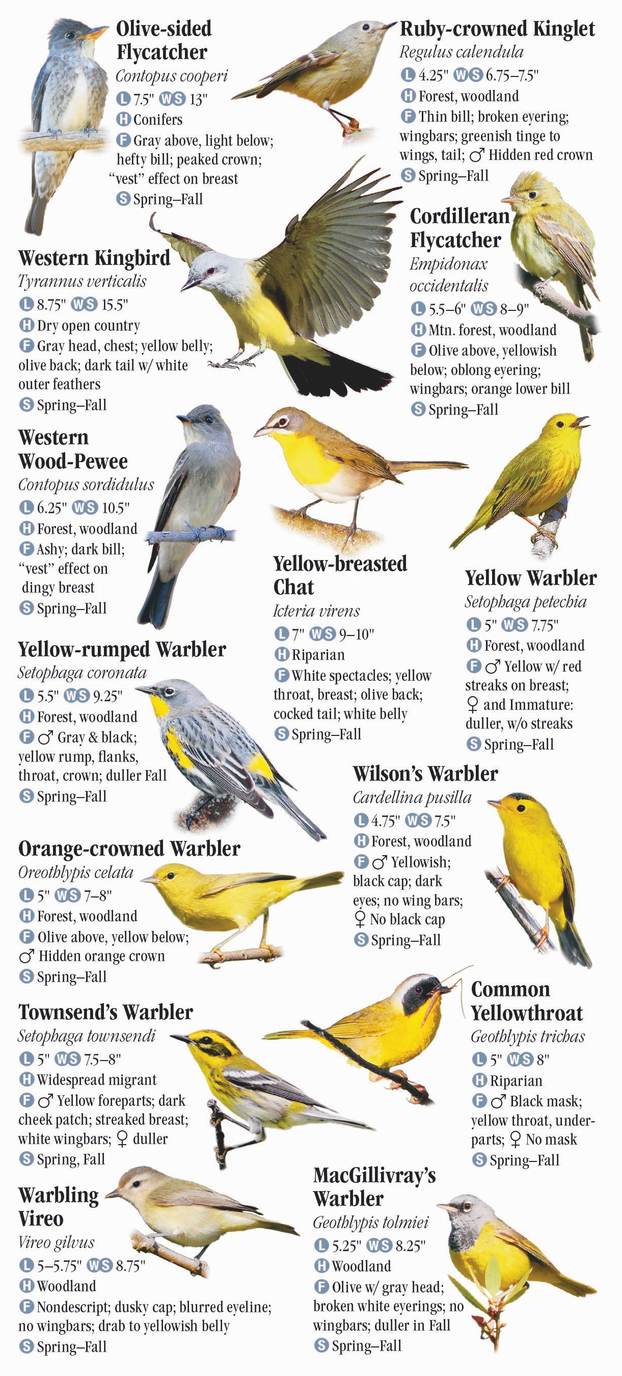 Birds of the Northern Rocky Mountains – Quick Reference Publishing Retail