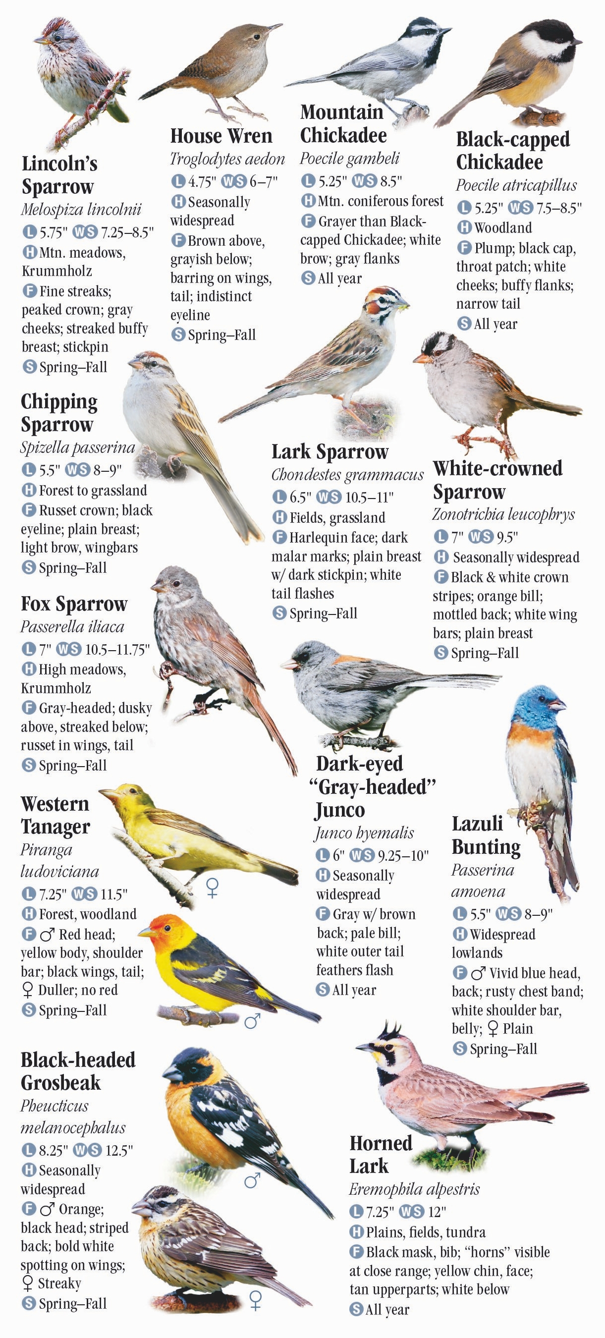 Birds of the Northern Rocky Mountains – Quick Reference Publishing Retail