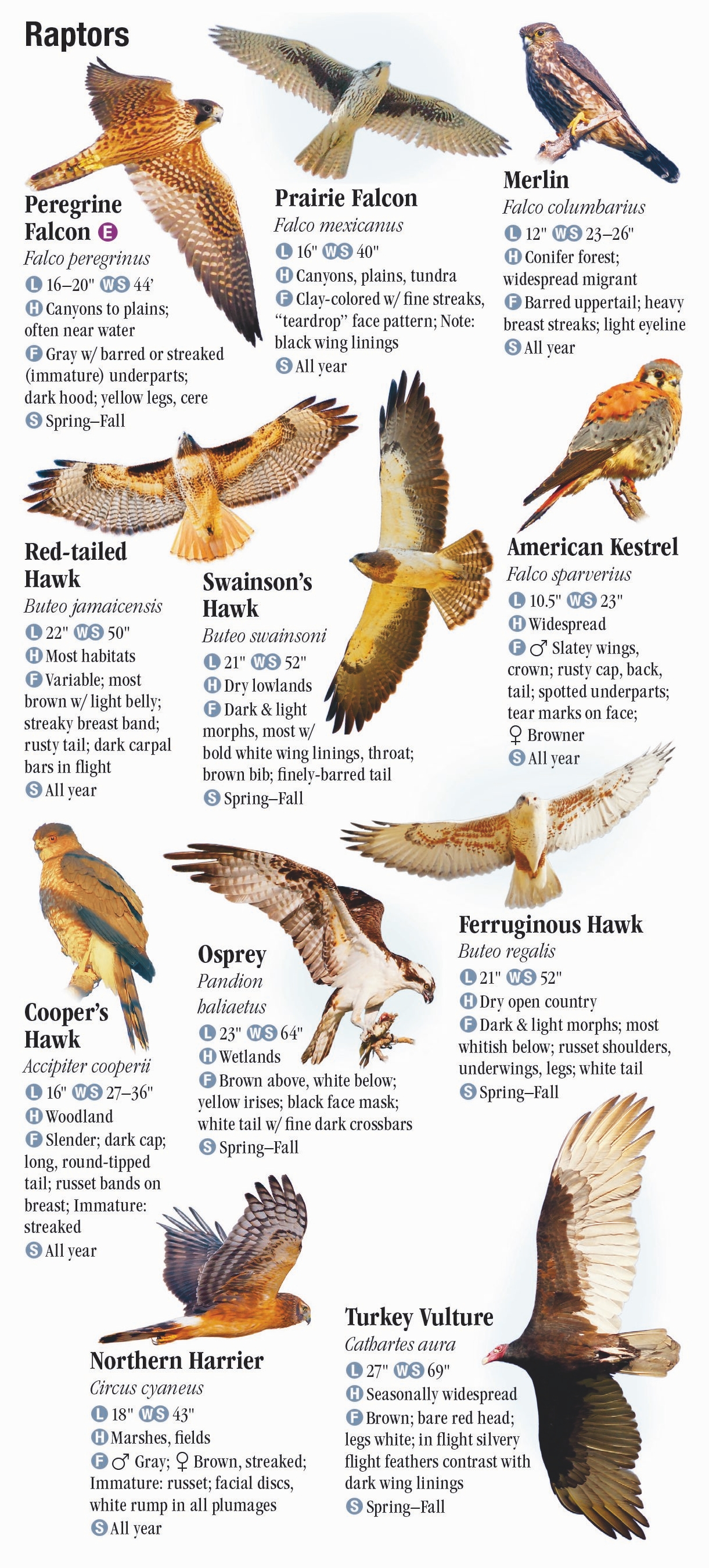 Birds of the Northern Rocky Mountains – Quick Reference Publishing Retail