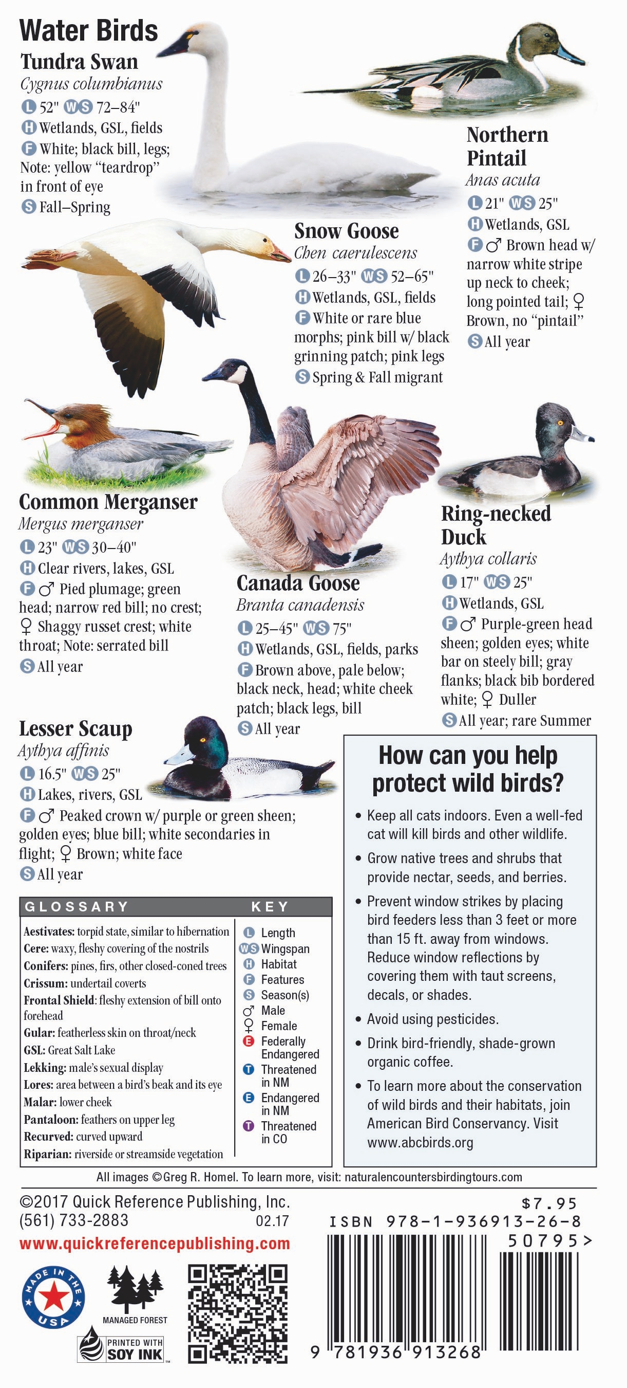 Birds of Utah – Quick Reference Publishing Retail