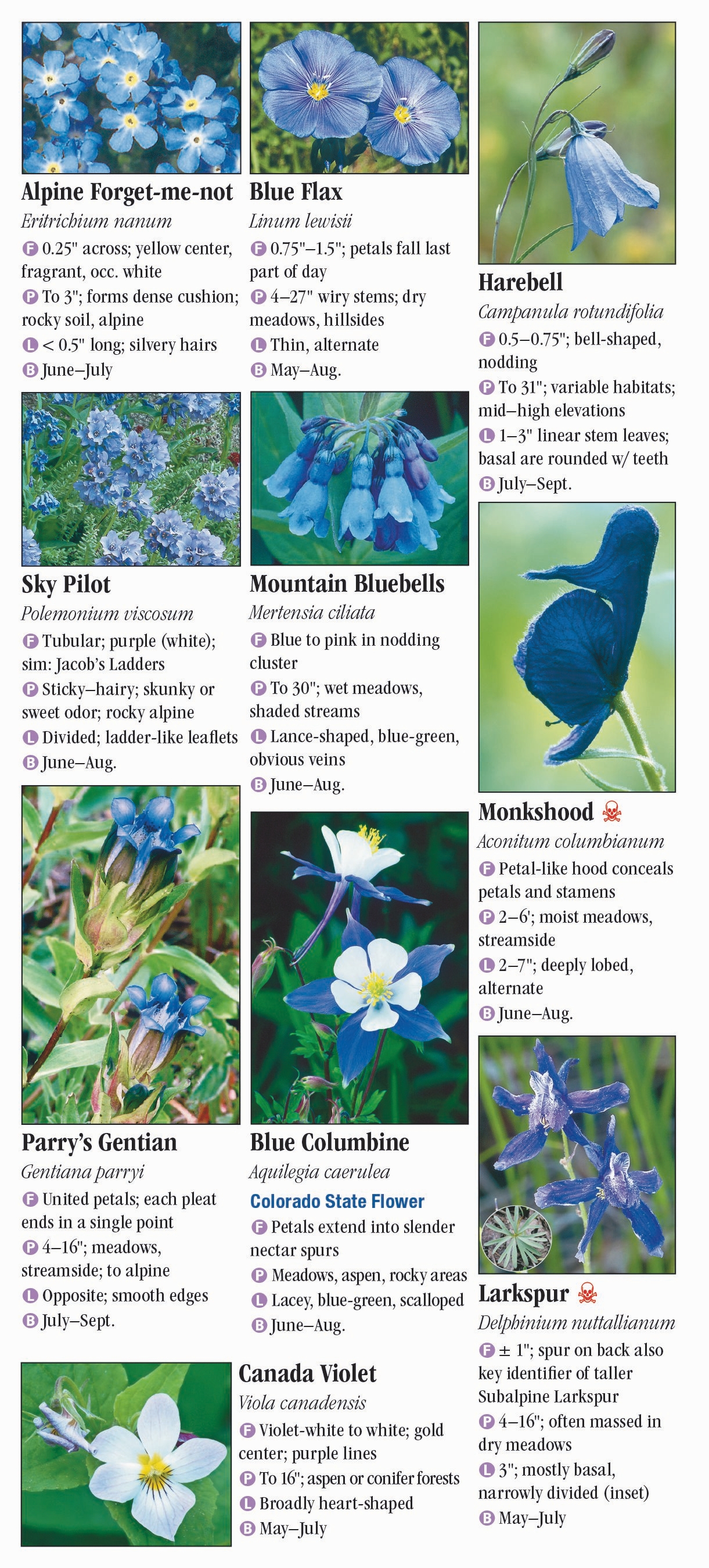 Wildflowers of the Southern Rocky Mountains – Quick Reference ...