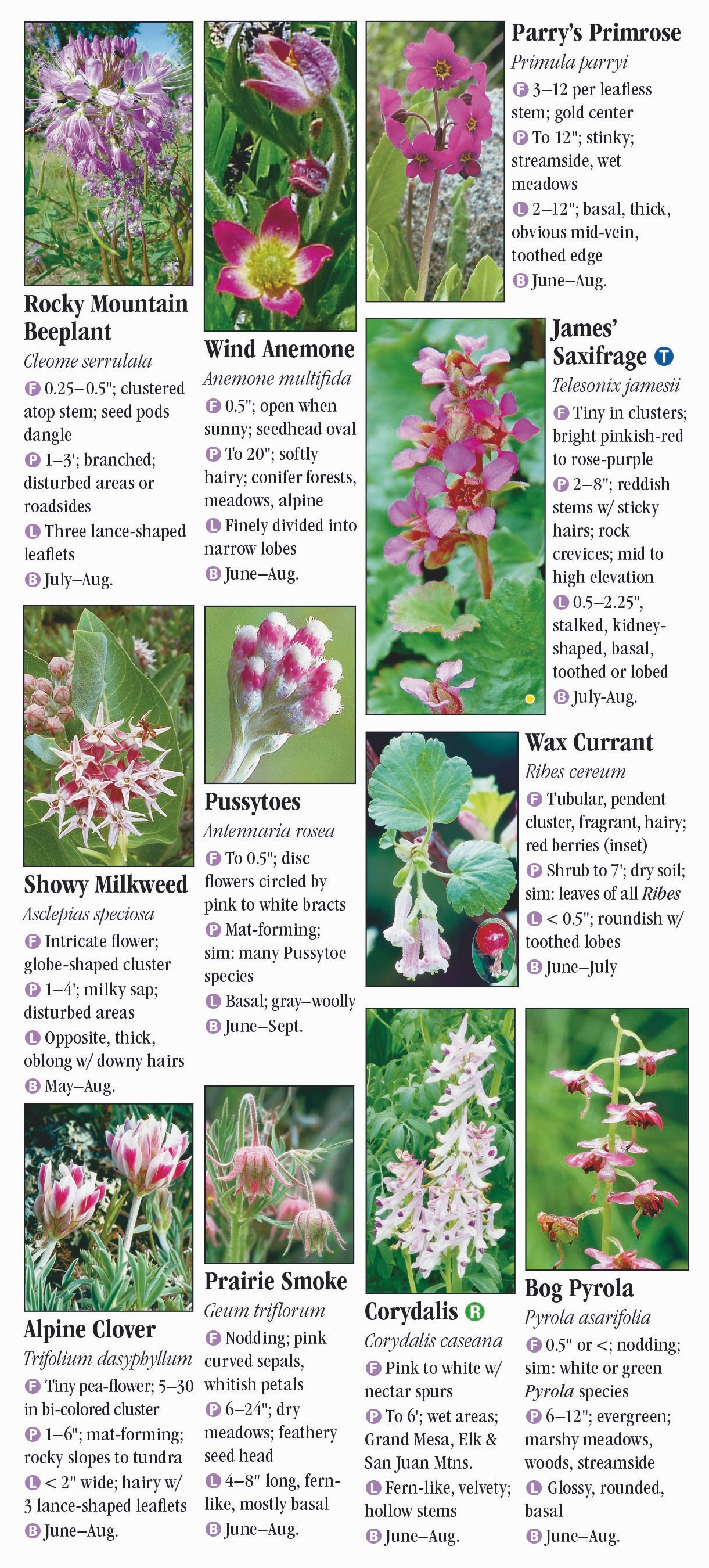 Wildflowers of the Southern Rocky Mountains – Quick Reference ...